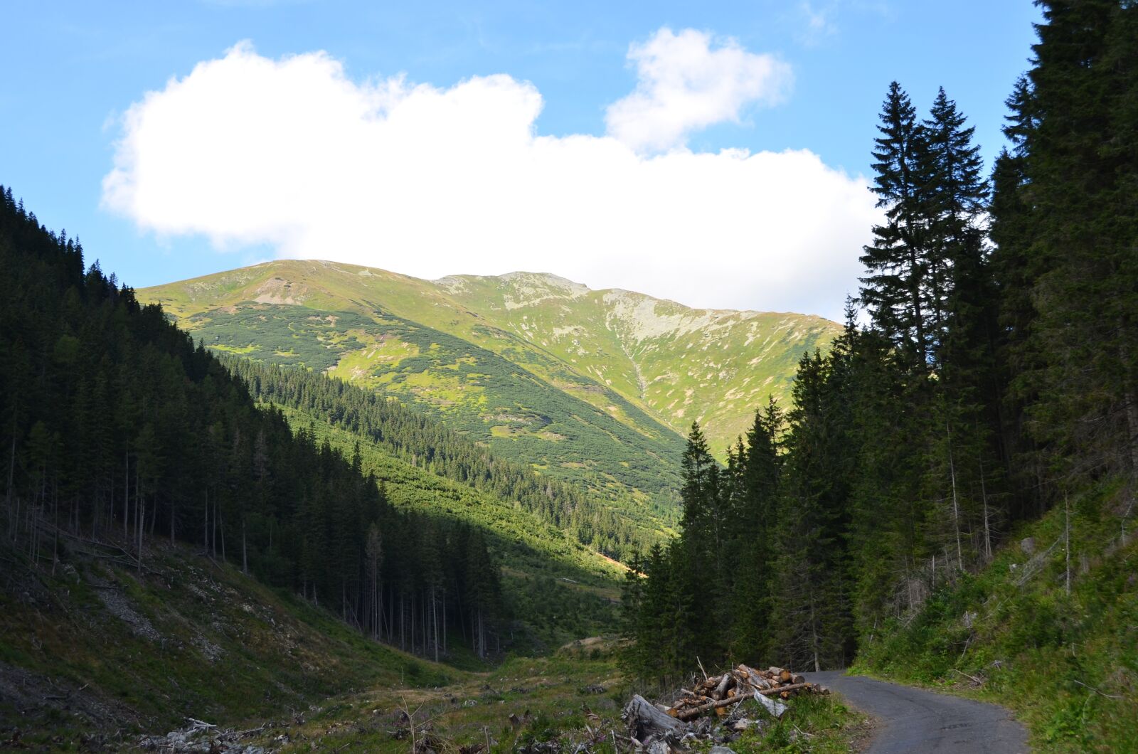 Nikon D7000 sample photo. žiarska dolina, nature, mountains photography