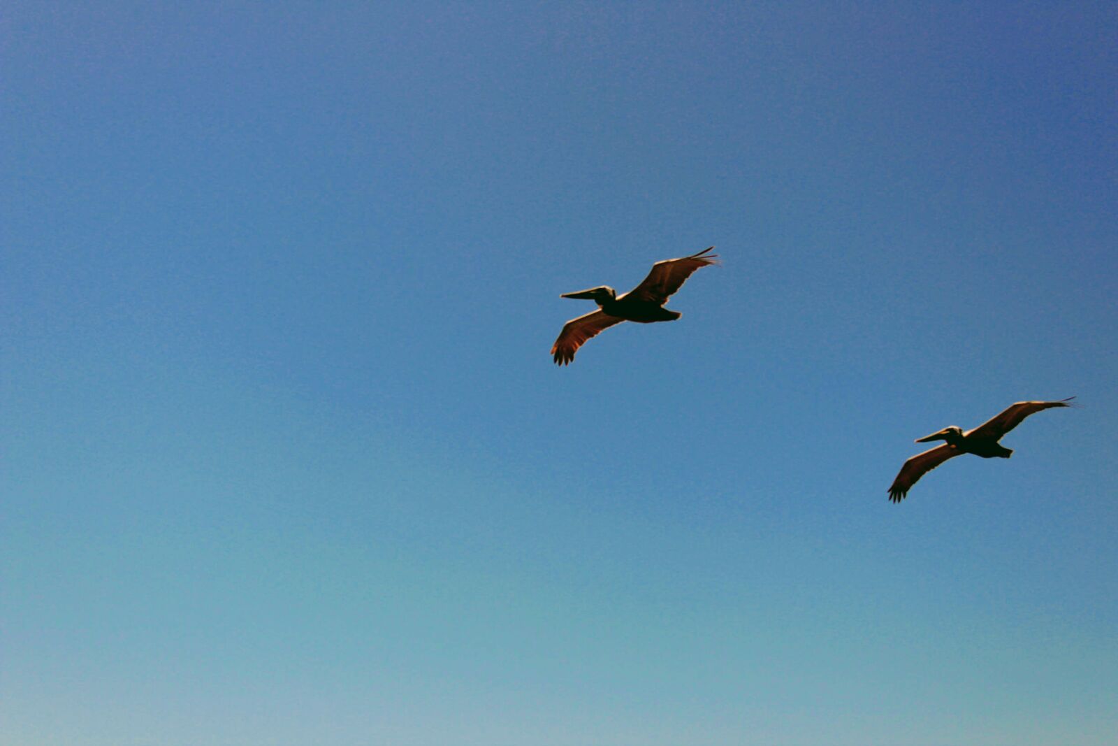 Canon EOS 1300D (EOS Rebel T6 / EOS Kiss X80) sample photo. Sky, blue, color photography