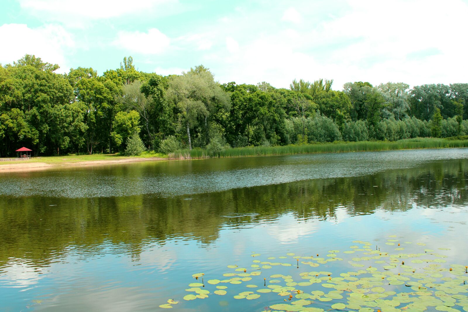 Canon EOS 2000D (EOS Rebel T7 / EOS Kiss X90 / EOS 1500D) sample photo. River, nature, landscape photography