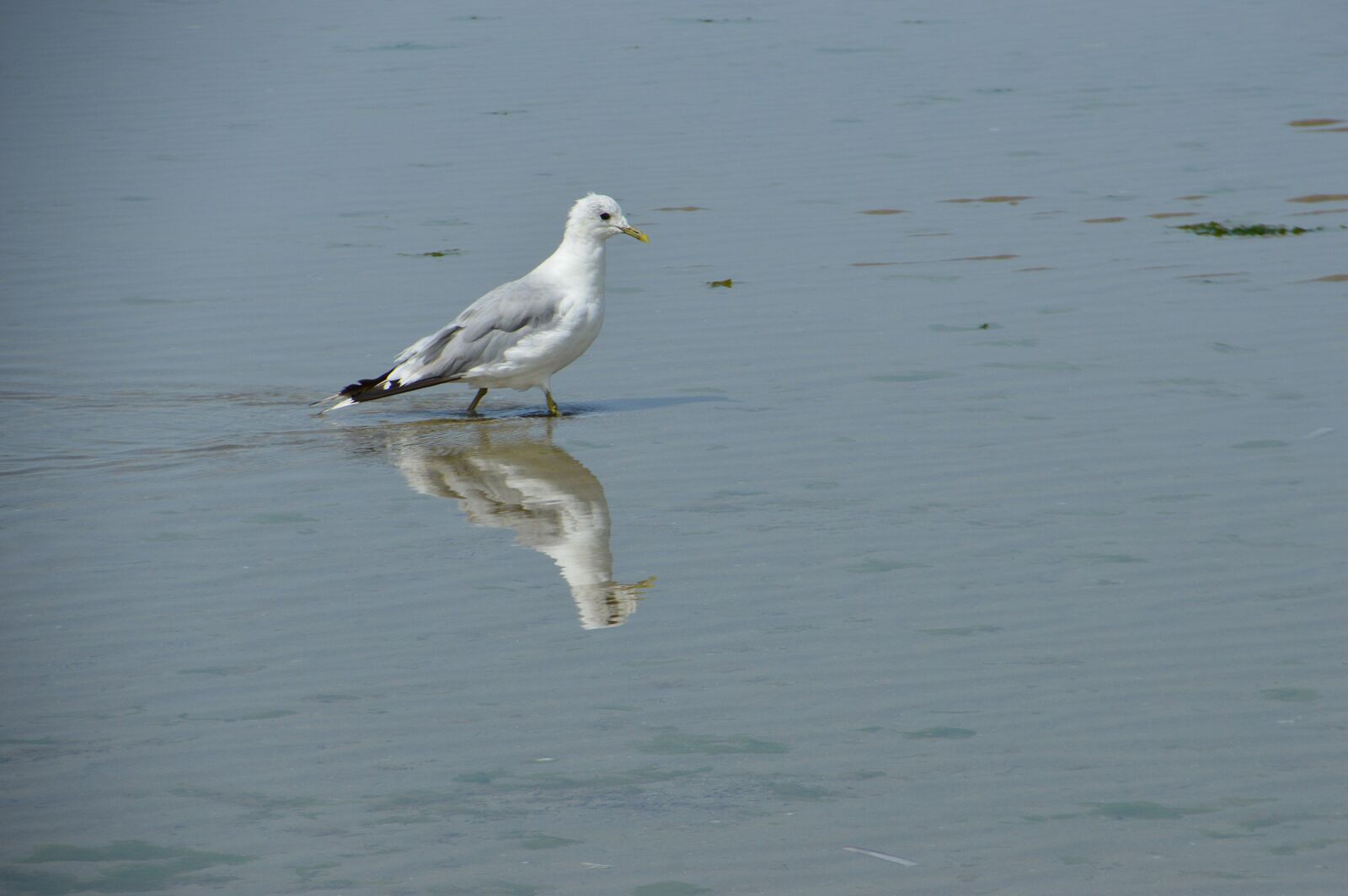 Nikon D3200 sample photo. Sea, beach, stella beach photography