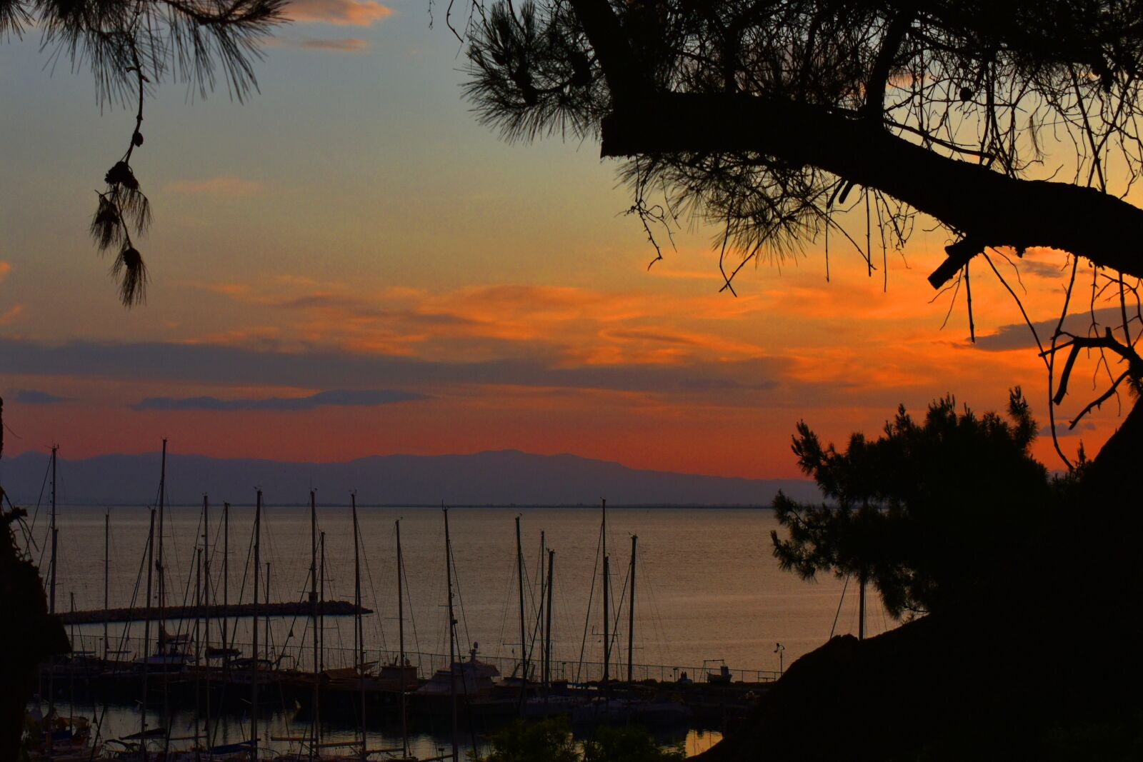 Nikon D3500 sample photo. Sunset, port, trees photography