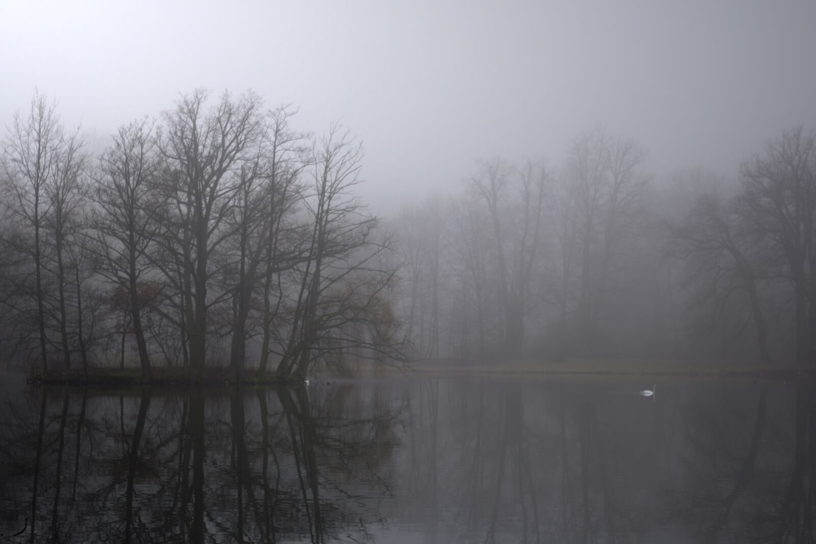 Nikon D5600 sample photo. Nature, park, lake photography