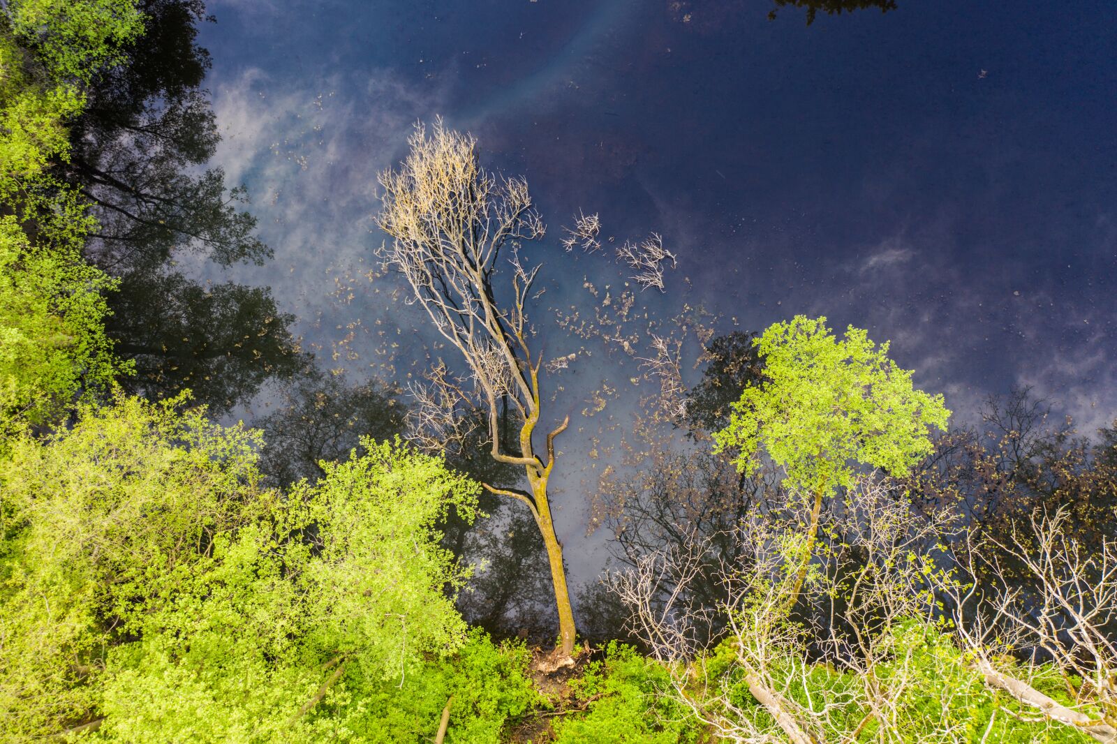 Hasselblad L1D-20c sample photo. Luftbildaufnahme, bird's eye view photography