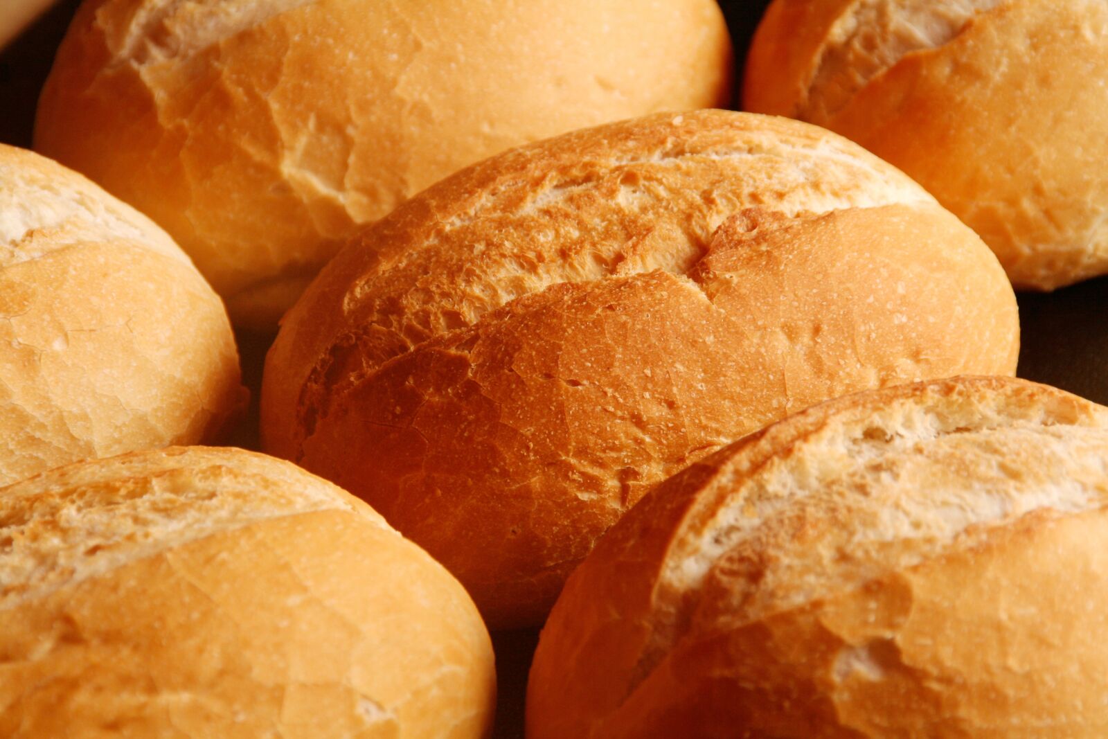 Canon EOS 350D (EOS Digital Rebel XT / EOS Kiss Digital N) sample photo. Roll, cute, bread photography