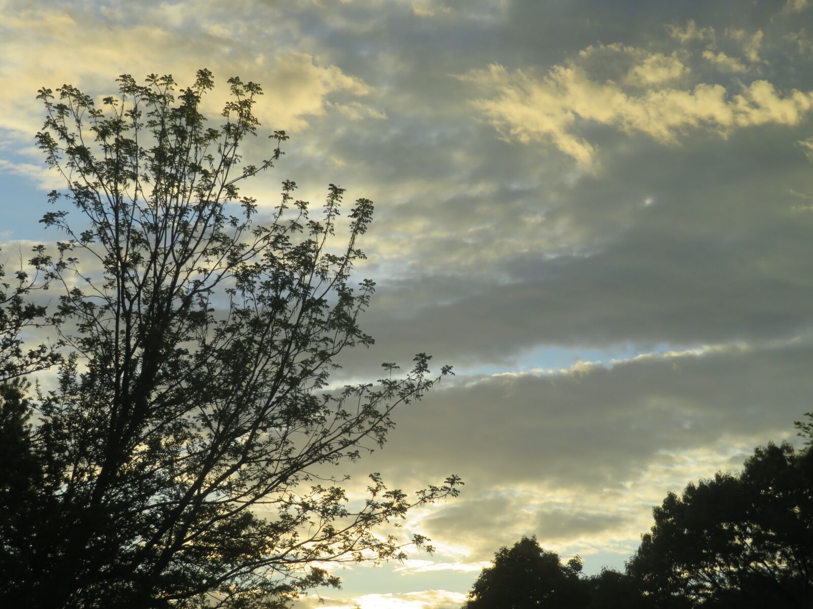Canon PowerShot SX720 HS sample photo. Sky, yellow, clouds photography