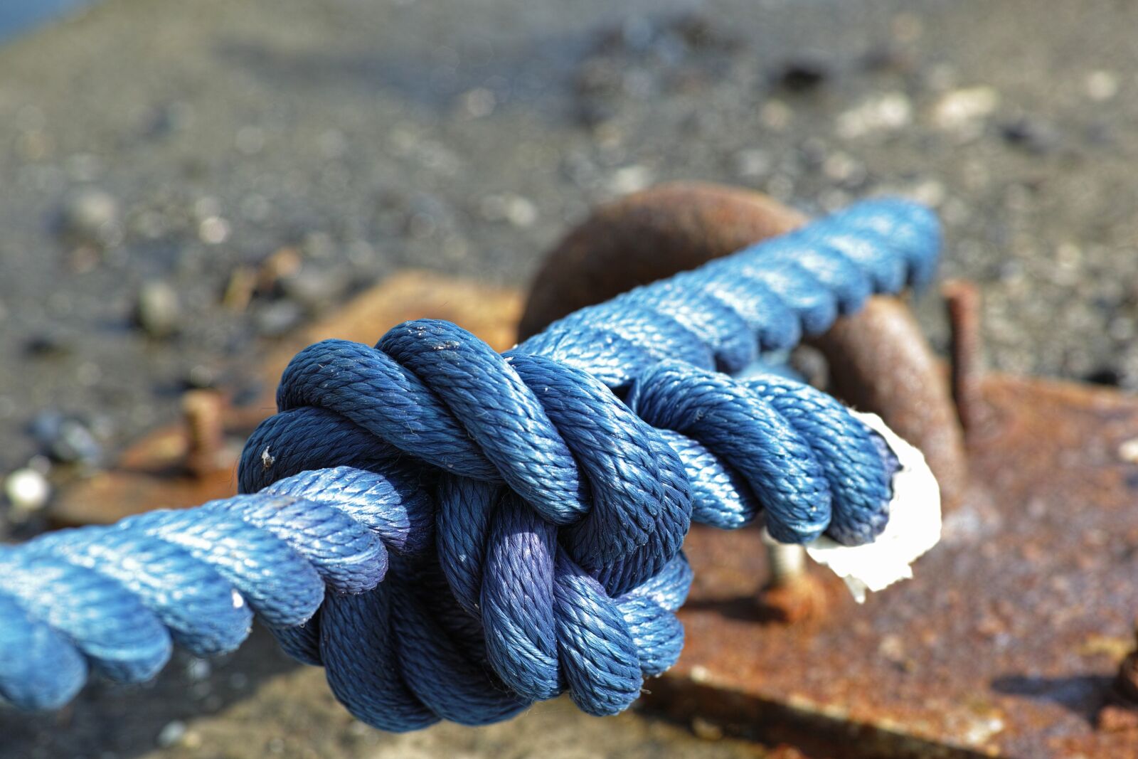 Sigma DP3 Merrill sample photo. Blue, rope, connect photography