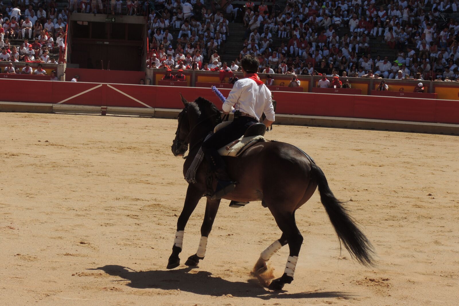 Nikon Coolpix P510 sample photo. Horse, rejoneo, plaza photography