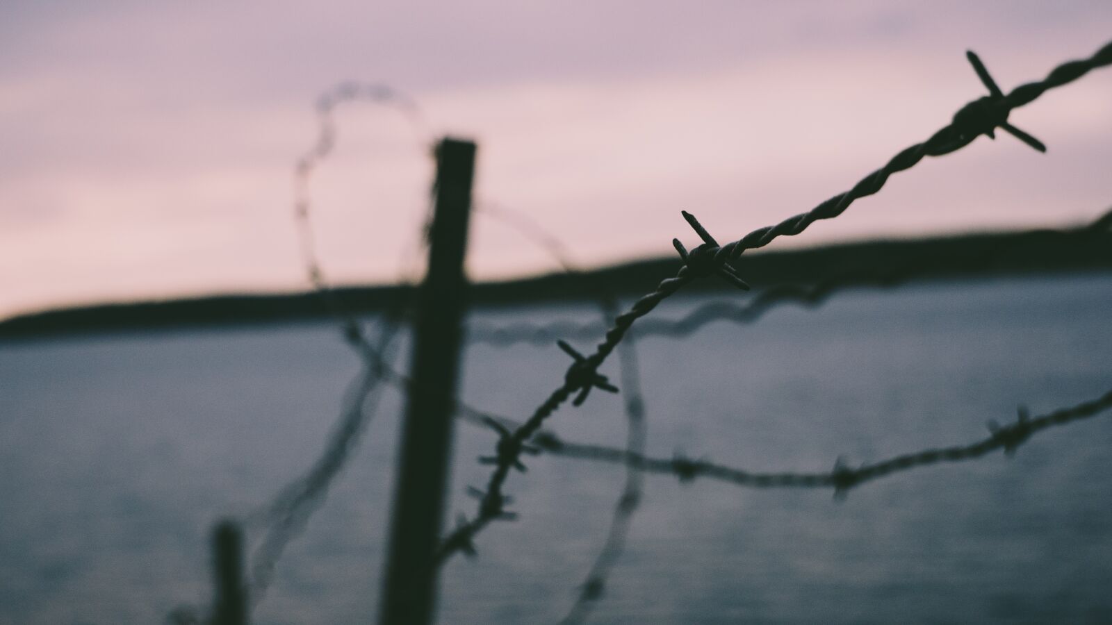 Panasonic Lumix DMC-GH4 sample photo. Barb wires, security, sharp photography