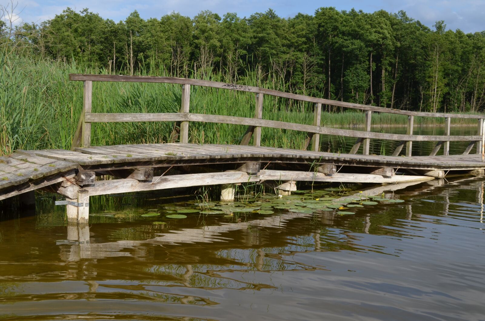 Nikon D5100 sample photo. Web, lake, waters photography