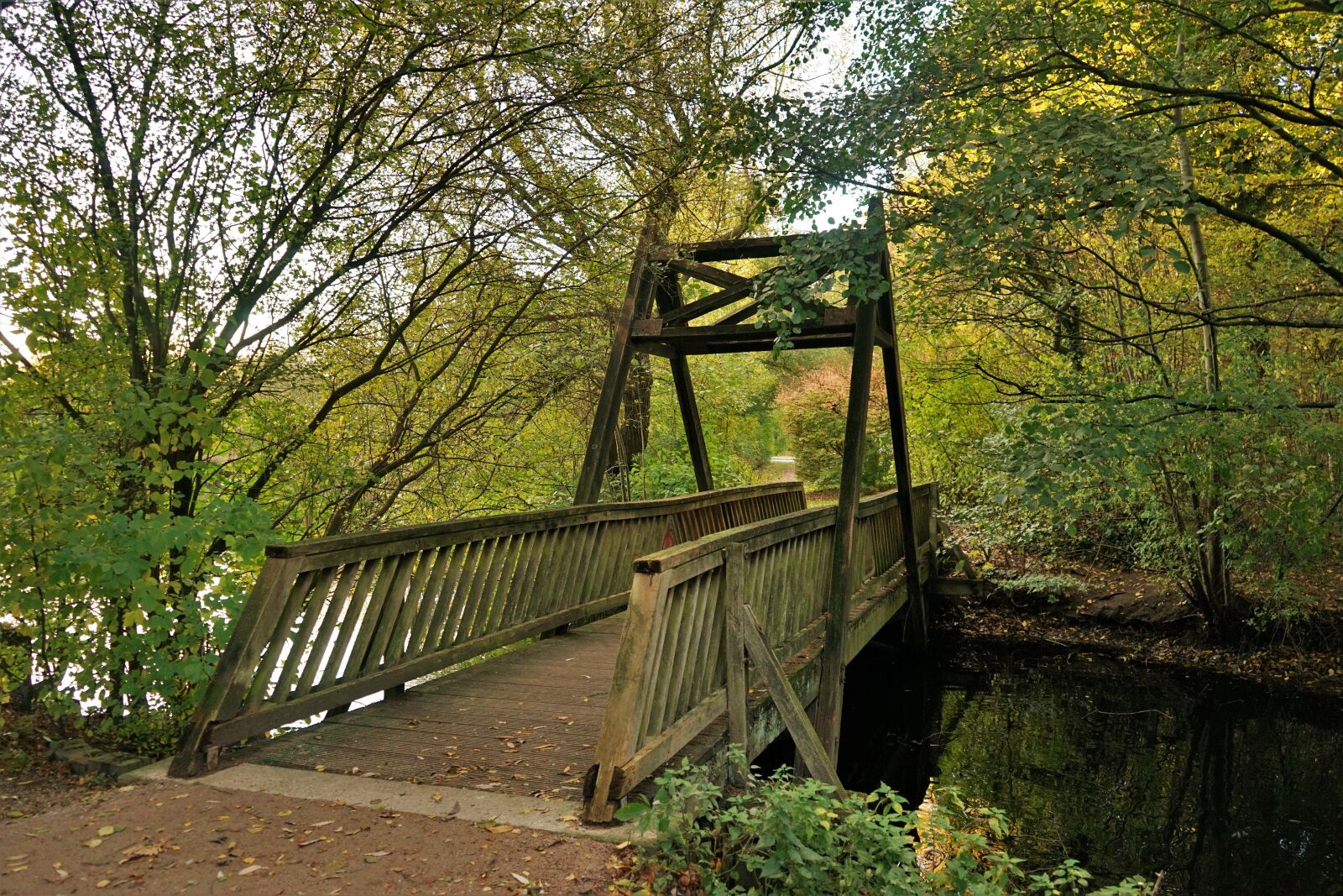 Sony a7 + Sony FE 28-70mm F3.5-5.6 OSS sample photo. Bridge, case, autumn photography