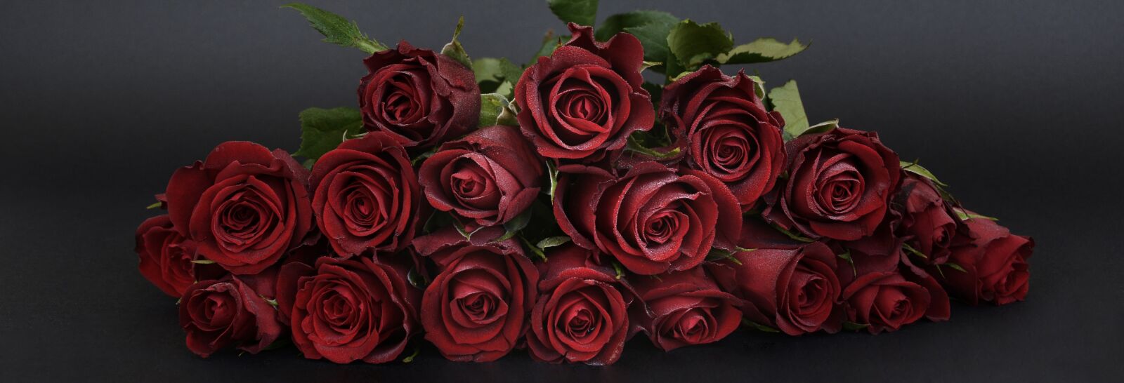 Nikon D7100 sample photo. Roses, bouquet of roses photography
