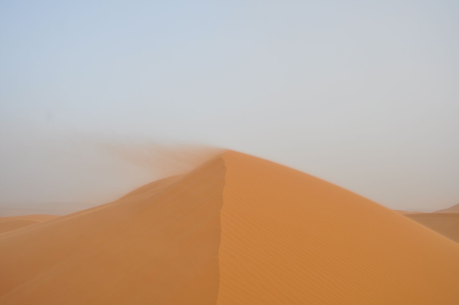 Nikon D90 sample photo. Sahara, desert, sand photography