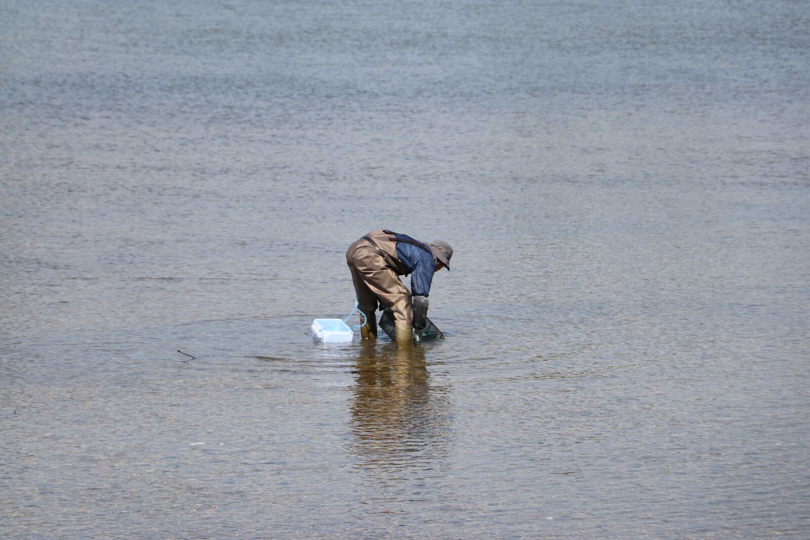 Canon EOS 80D sample photo. Clamming, shell, back photography