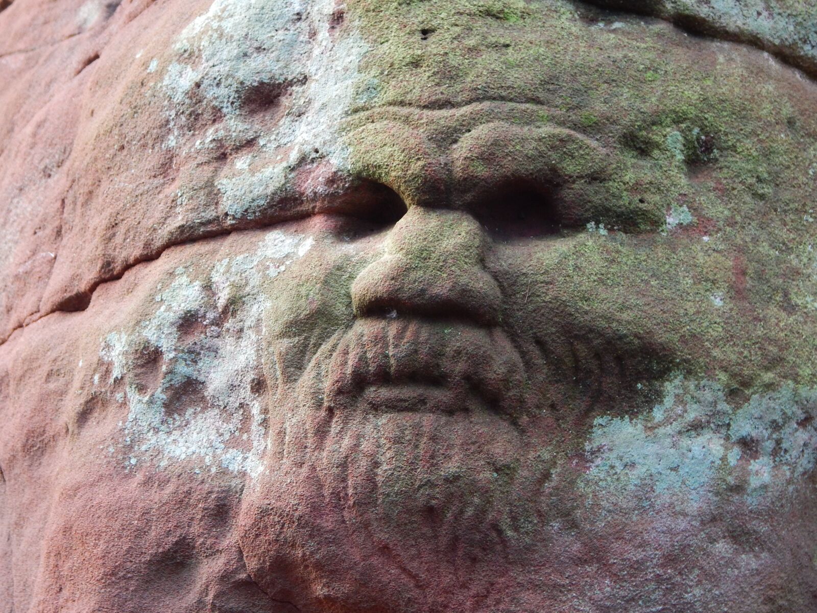 Nikon Coolpix L830 sample photo. Carved face, dunino den photography