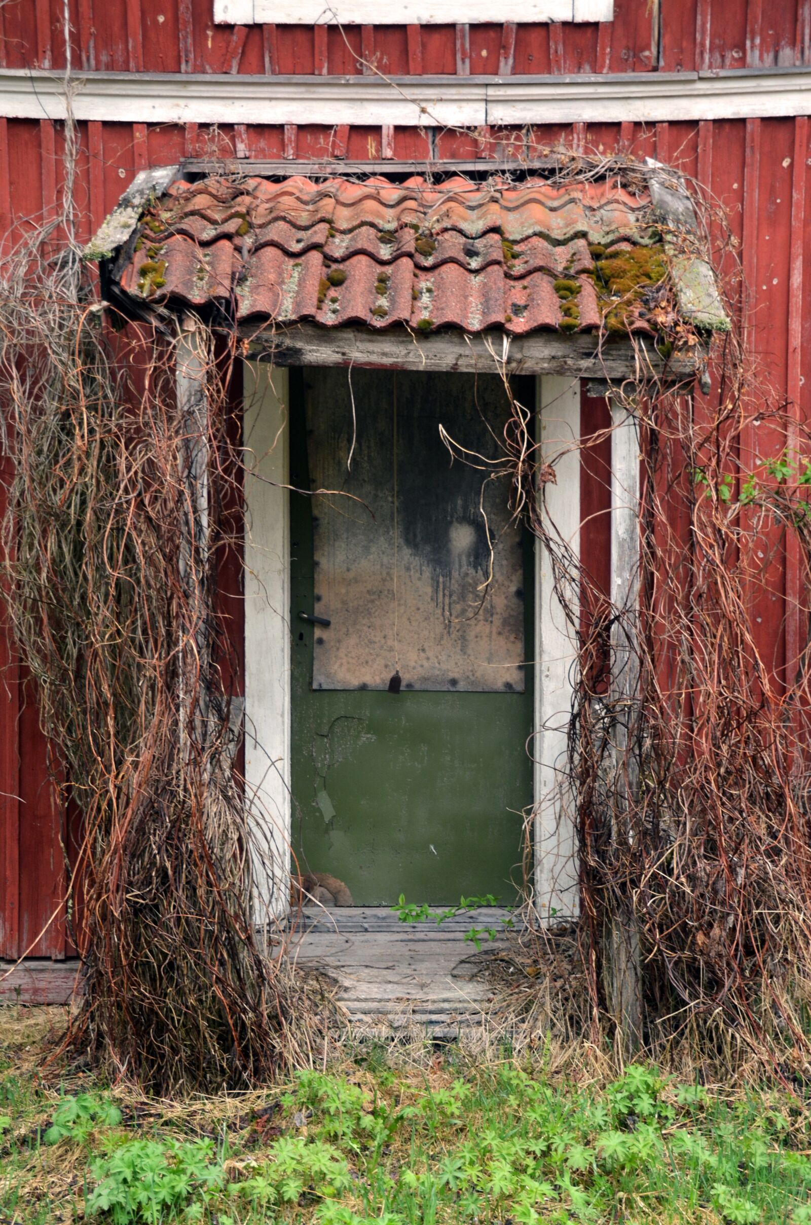 Nikon D5100 sample photo. Old, door, red photography