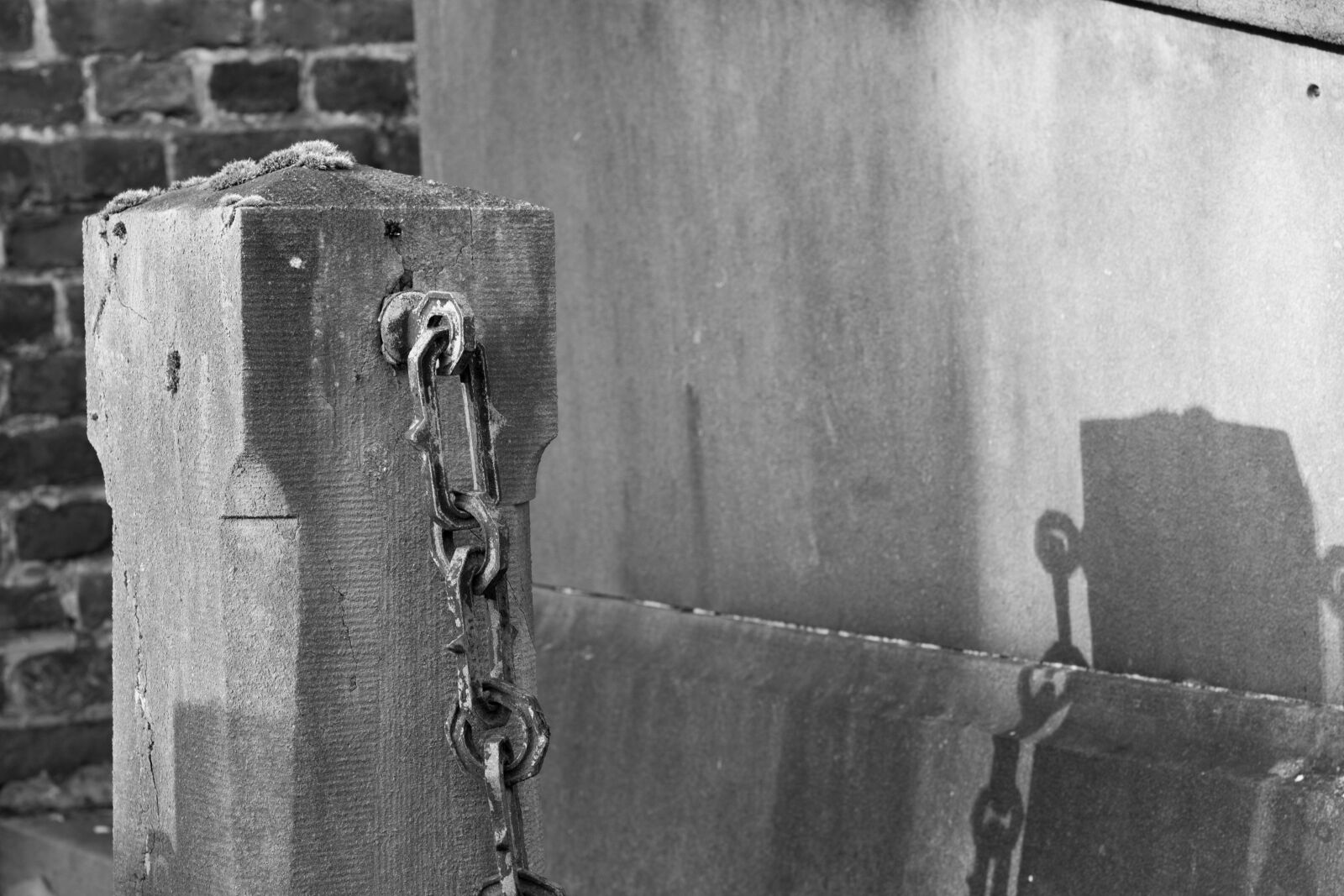 Canon EOS 100D (EOS Rebel SL1 / EOS Kiss X7) + Canon EF 50mm F1.8 STM sample photo. Shadow, atmosphere, black white photography