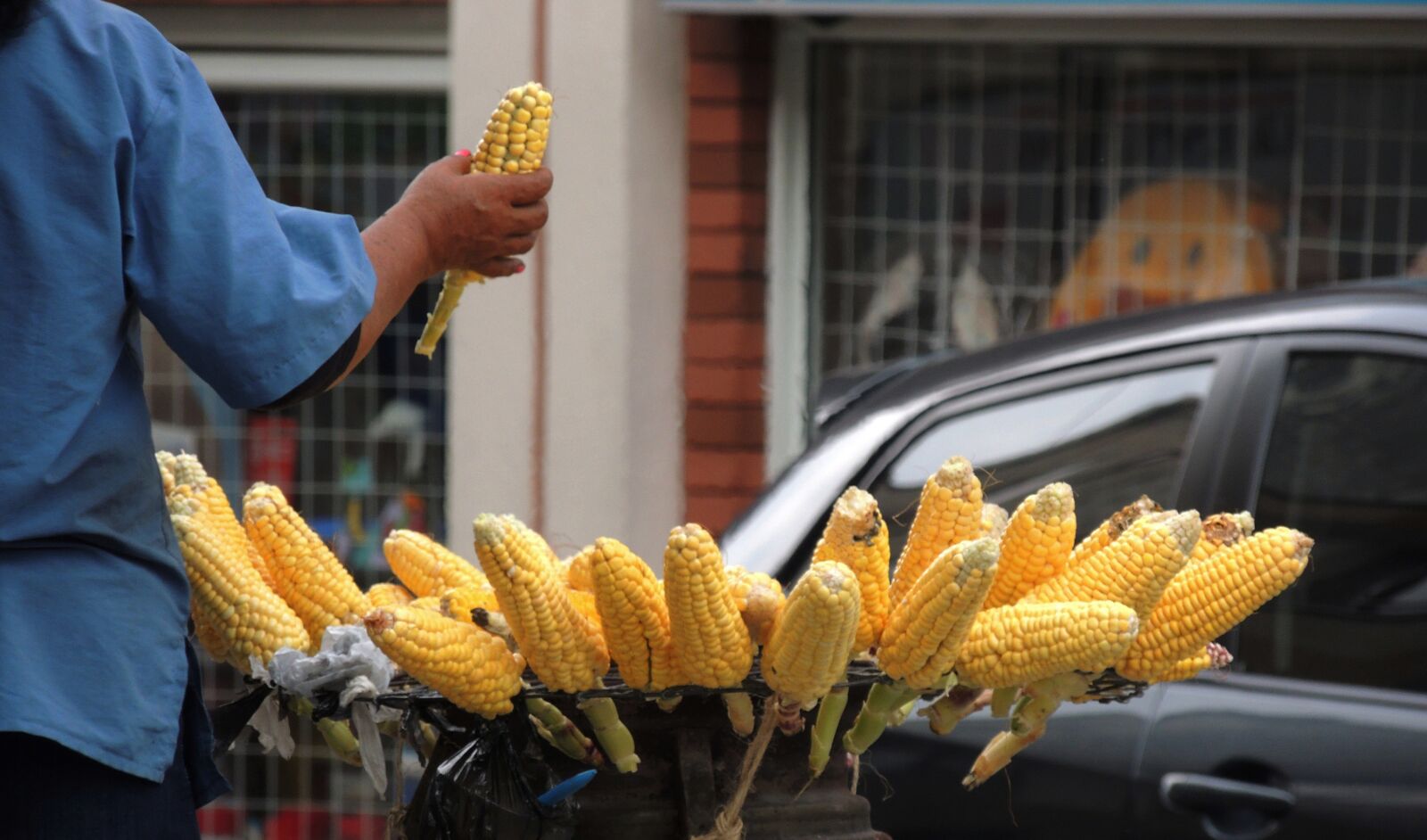 Nikon Coolpix P510 sample photo. Saleswoman, cob, of photography