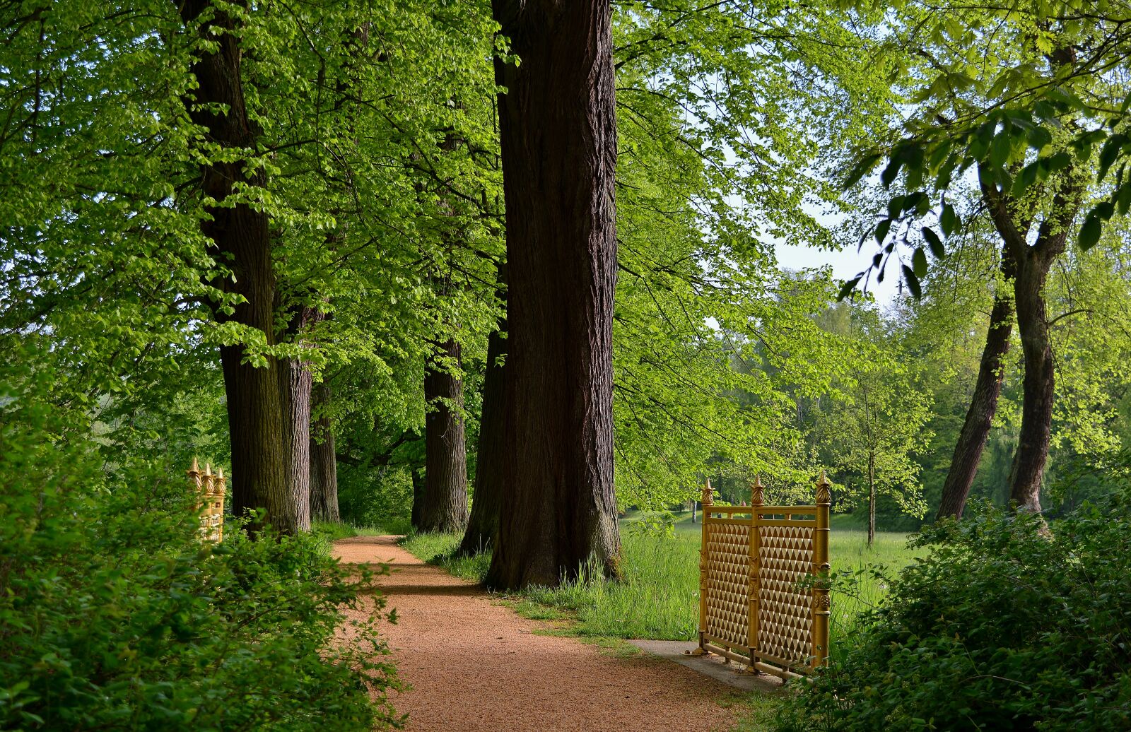 Nikon D5200 sample photo. Park, away, landscape photography