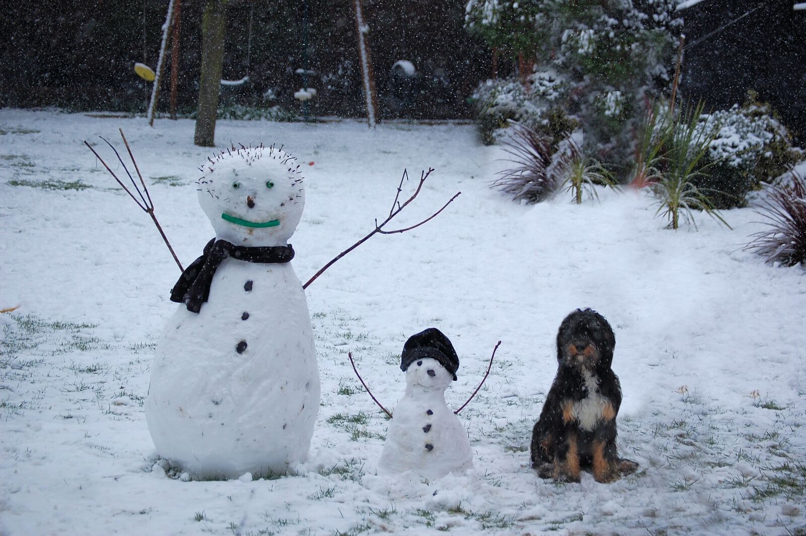 Nikon D40 sample photo. Winter, snowman, dog photography