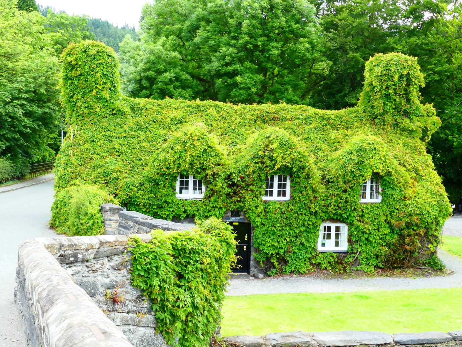 Panasonic Lumix DMC-FZ300 sample photo. House, creeper, ivy photography