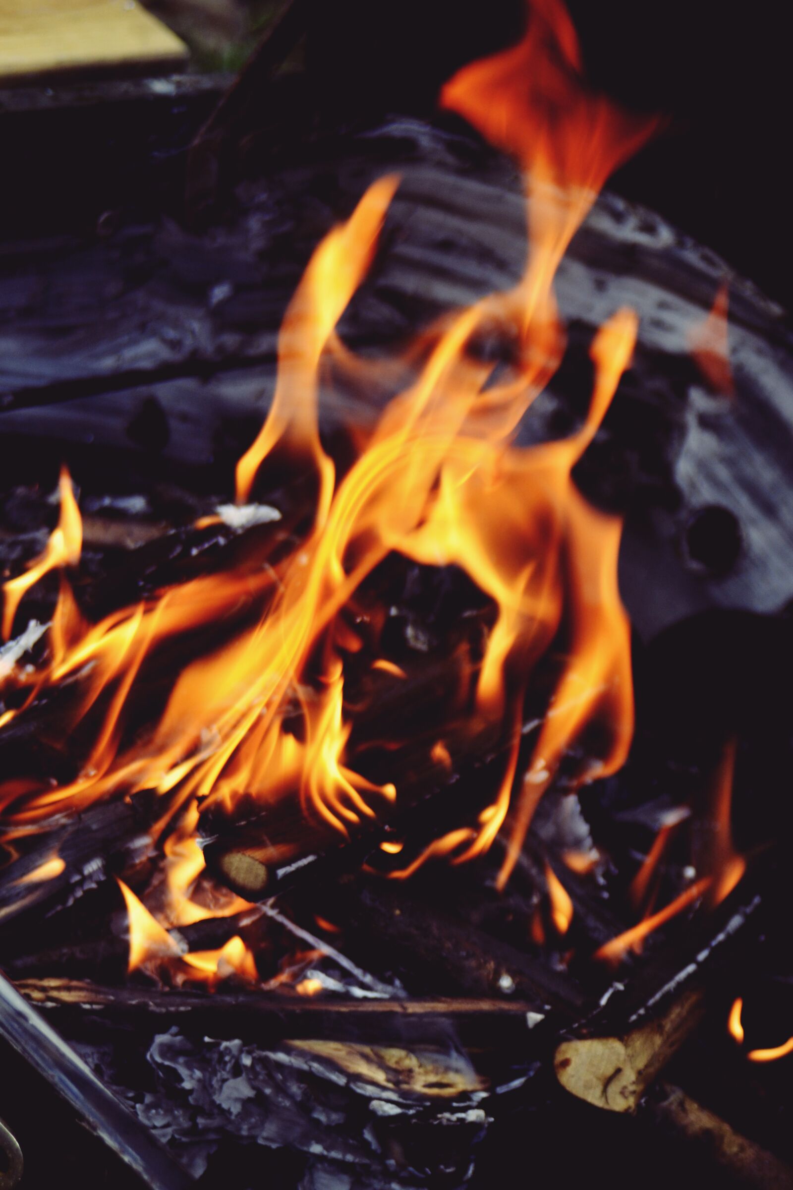 Nikon D3100 sample photo. Fire, bonfire, flame photography