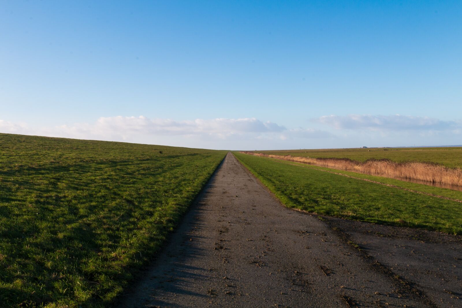 Canon EOS 70D sample photo. North sea, dike, meadow photography