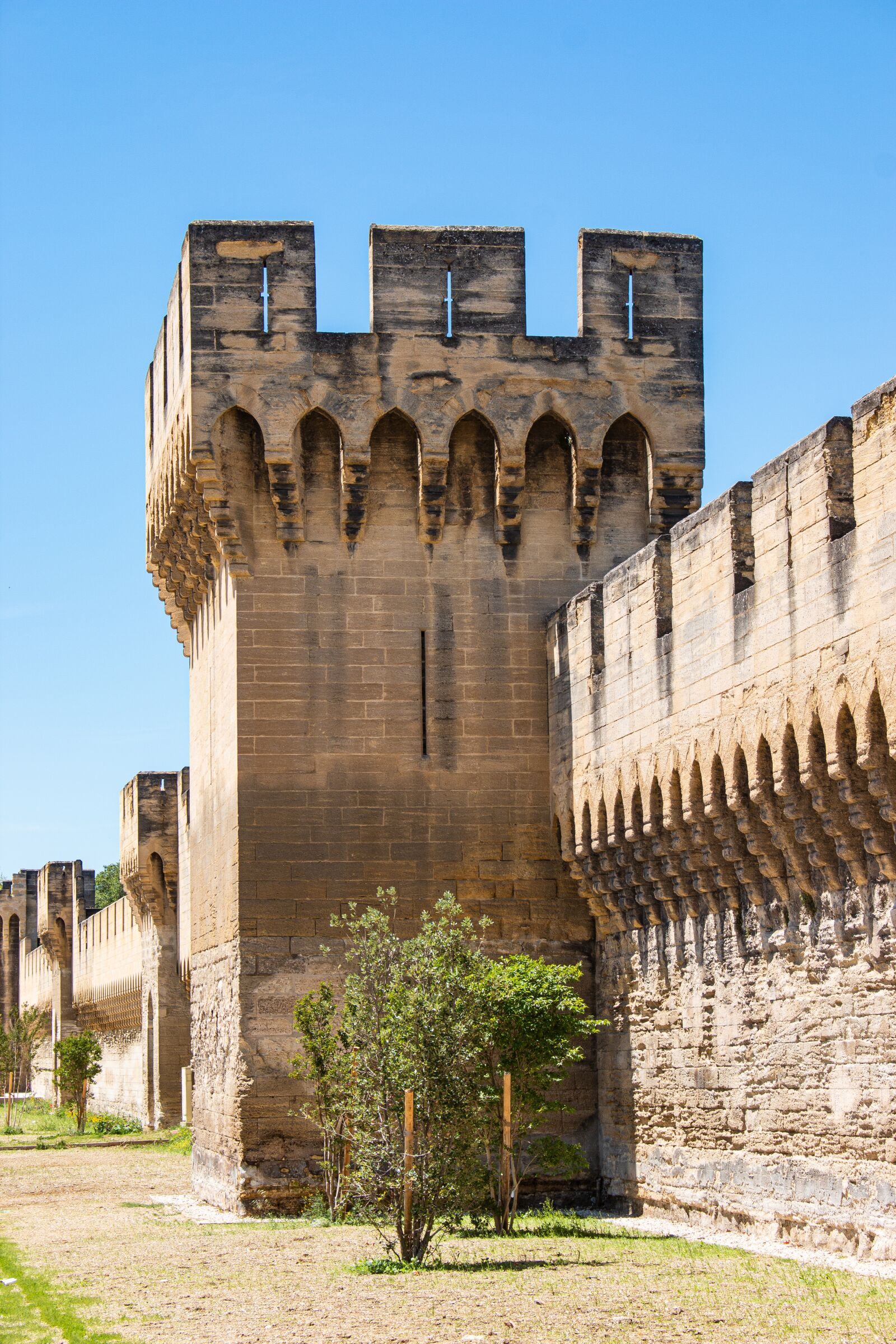 Canon EOS 70D + Canon EF-S 18-55mm F3.5-5.6 IS STM sample photo. Provence, avignon, city wall photography
