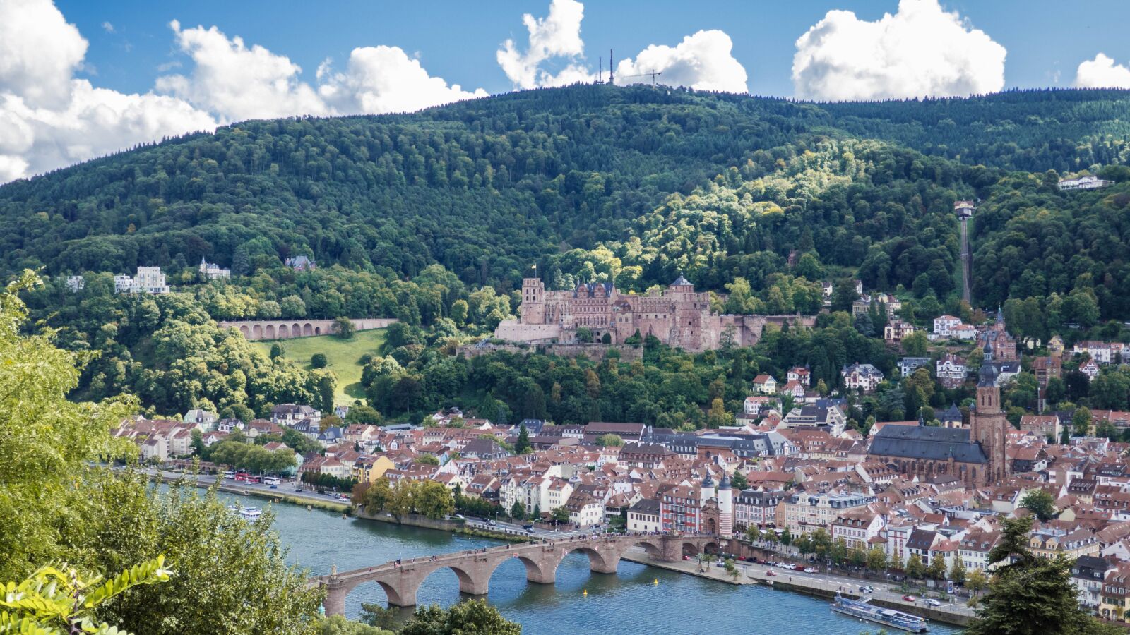 Panasonic DMC-TZ101 sample photo. Heidelberg, castle, neckar photography