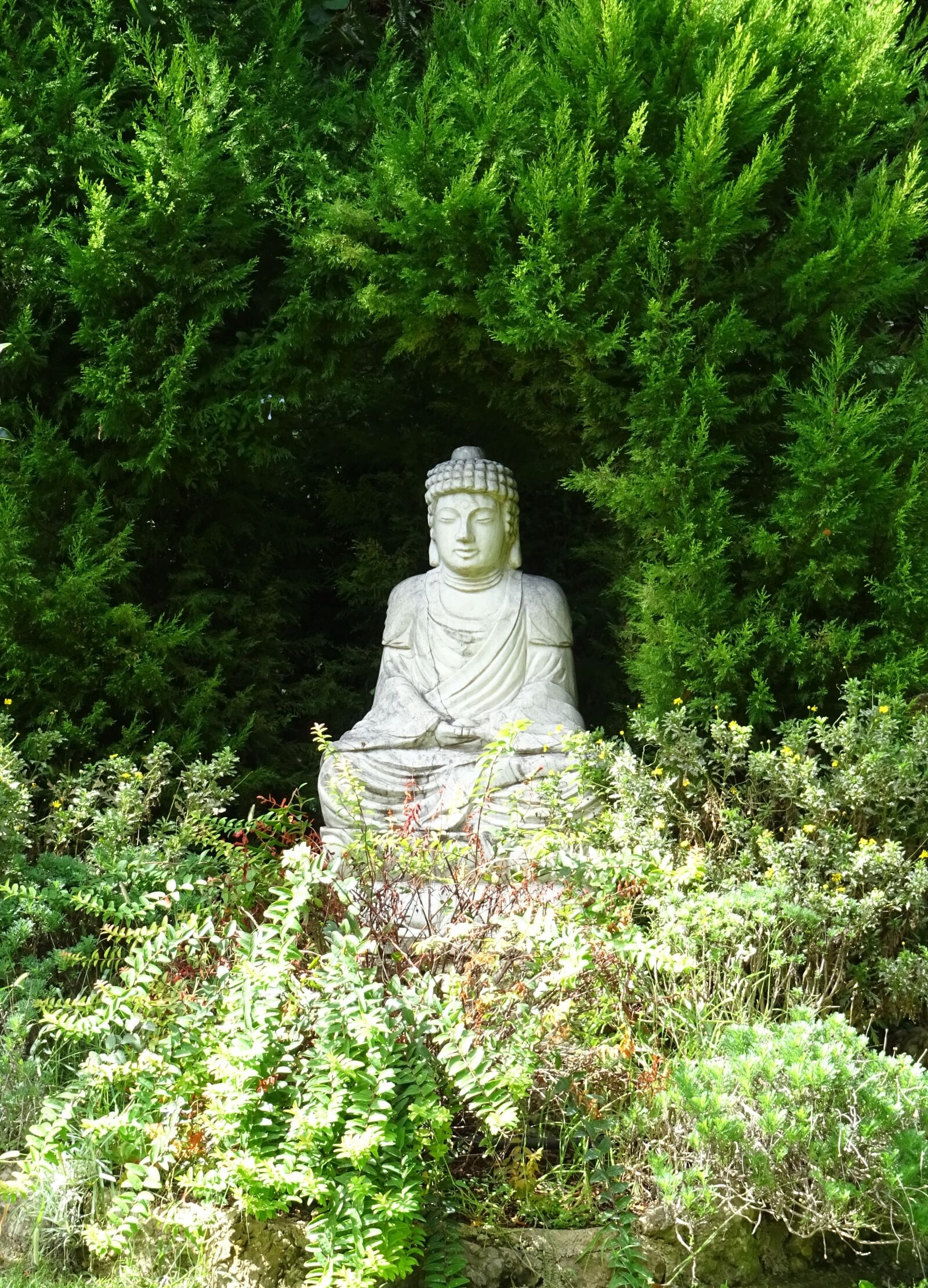 Sony DSC-HX60V sample photo. Buddha statue, statue, sculpture photography
