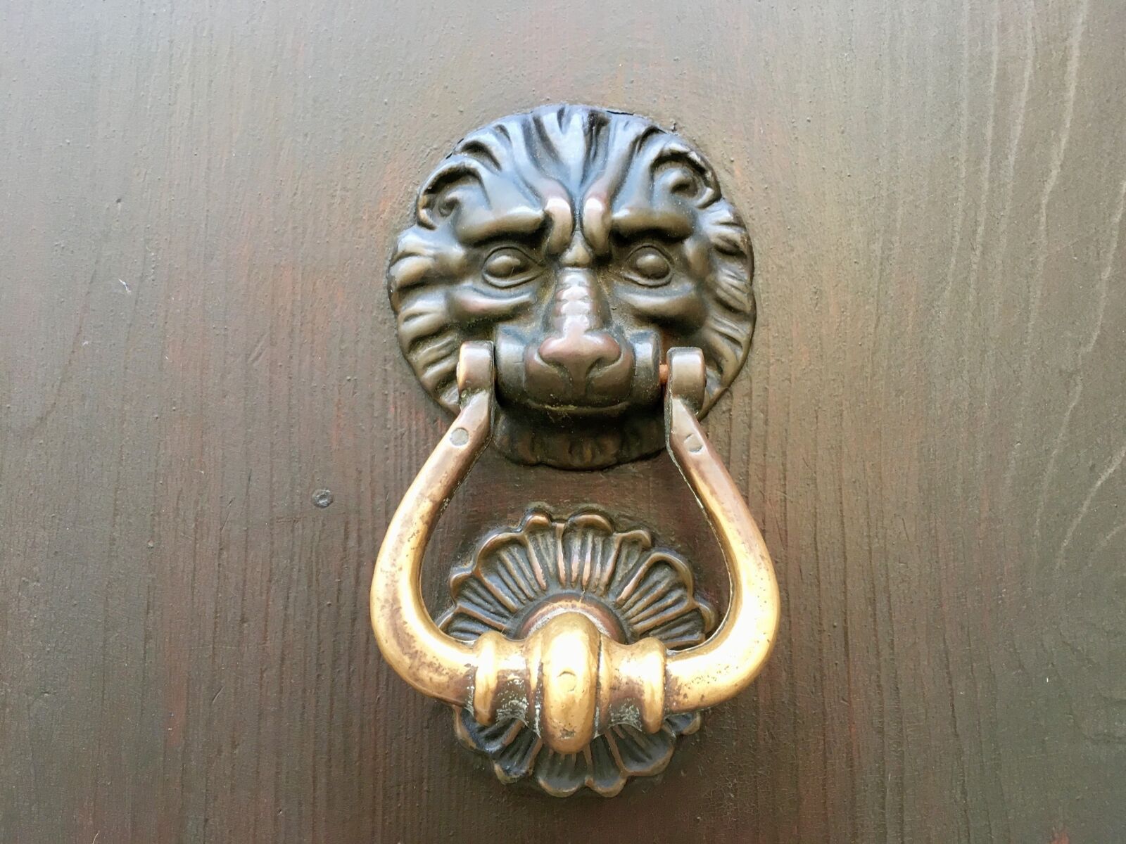 iPhone SE back camera 4.15mm f/2.2 sample photo. Bell, entrance door, door photography