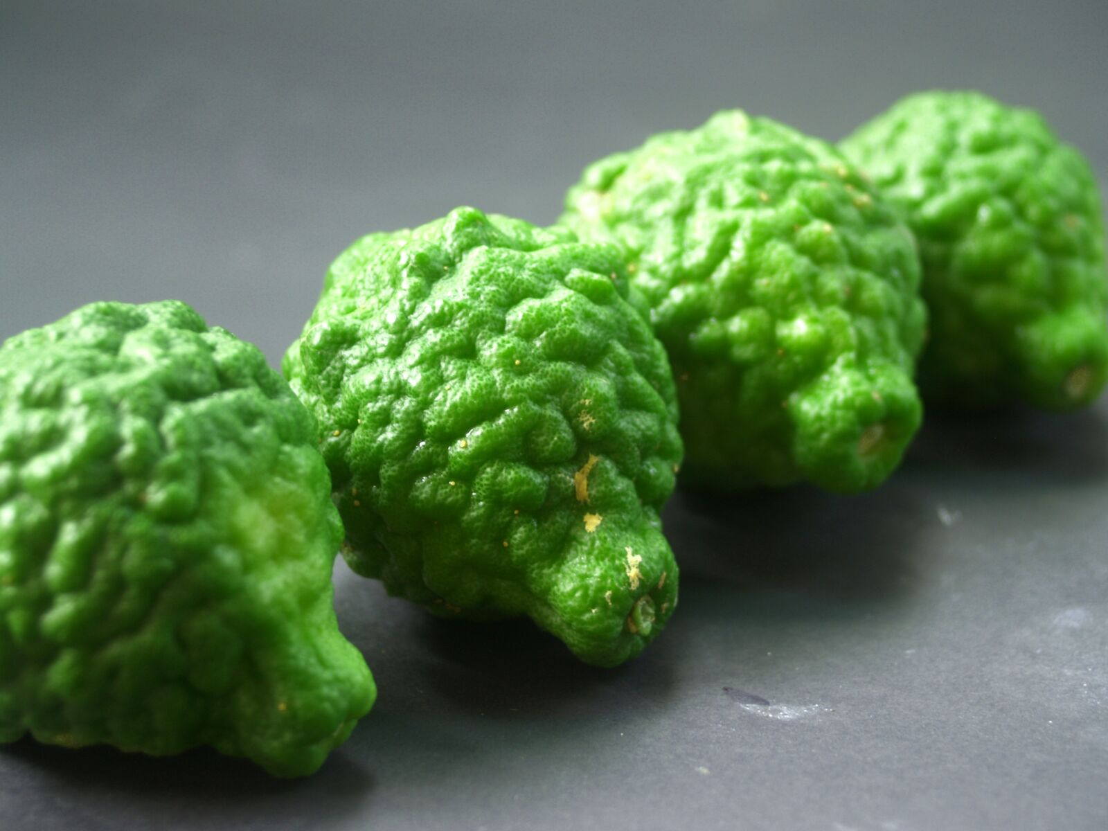 Olympus E-300 (EVOLT E-300) sample photo. Bergamot, fruit, leaf photography