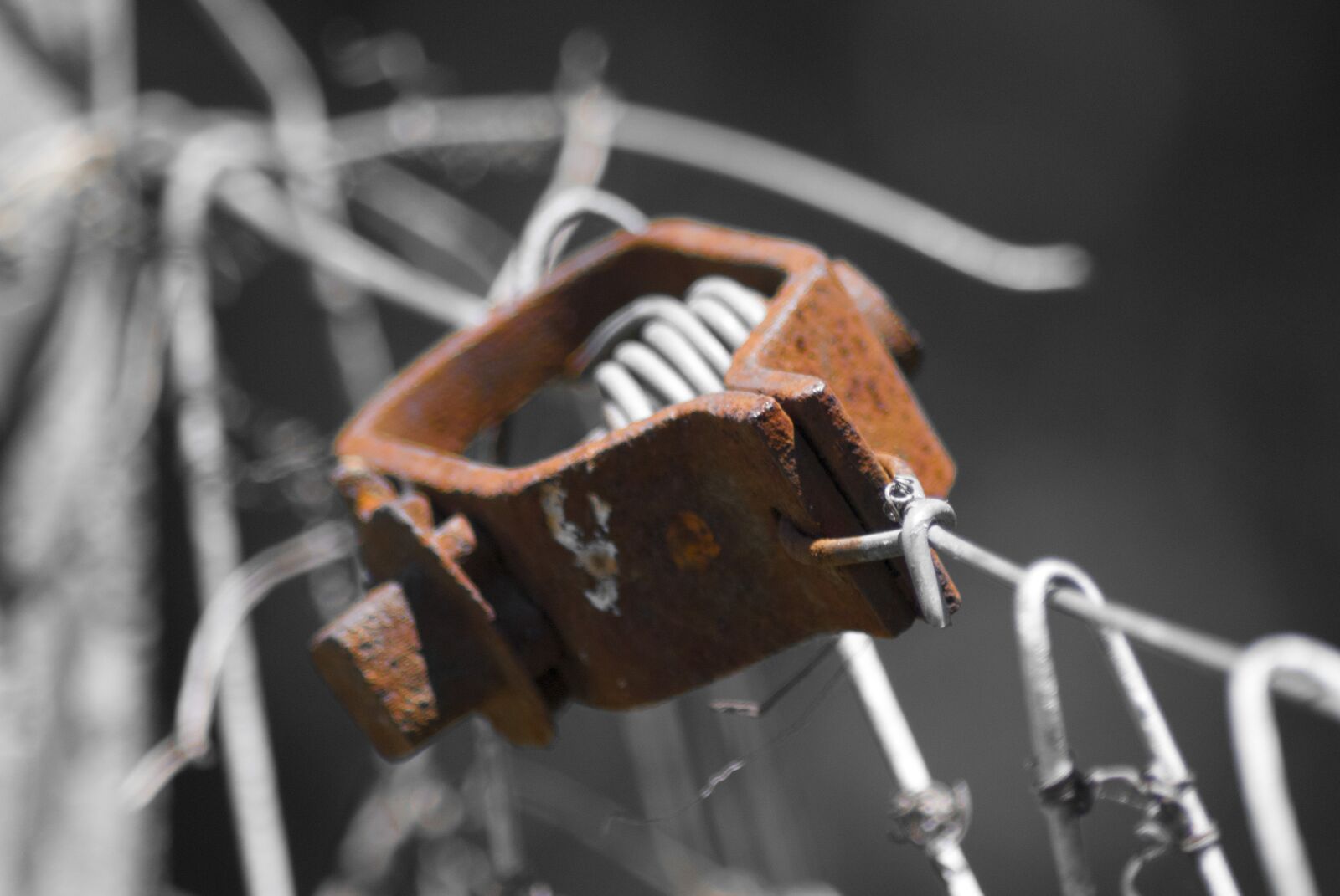 Nikon D3000 sample photo. Oxide, wire, tensor photography