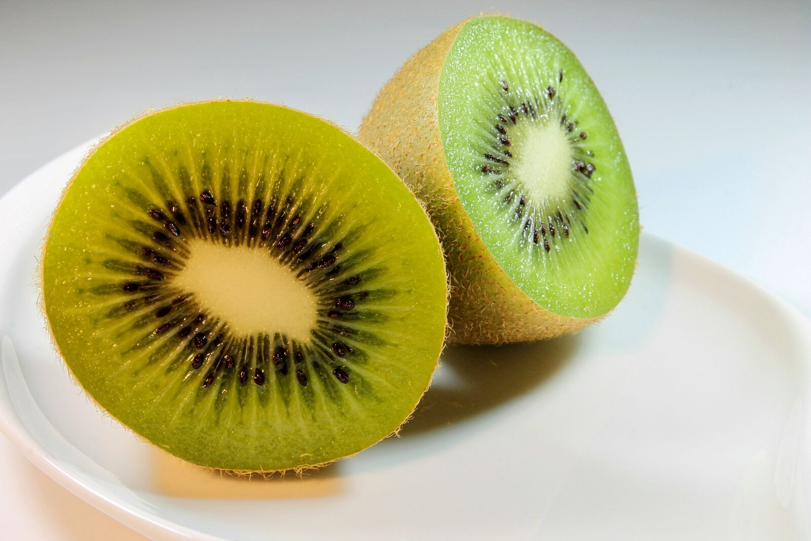 18.0 - 55.0 mm sample photo. Kiwi, plate, white photography