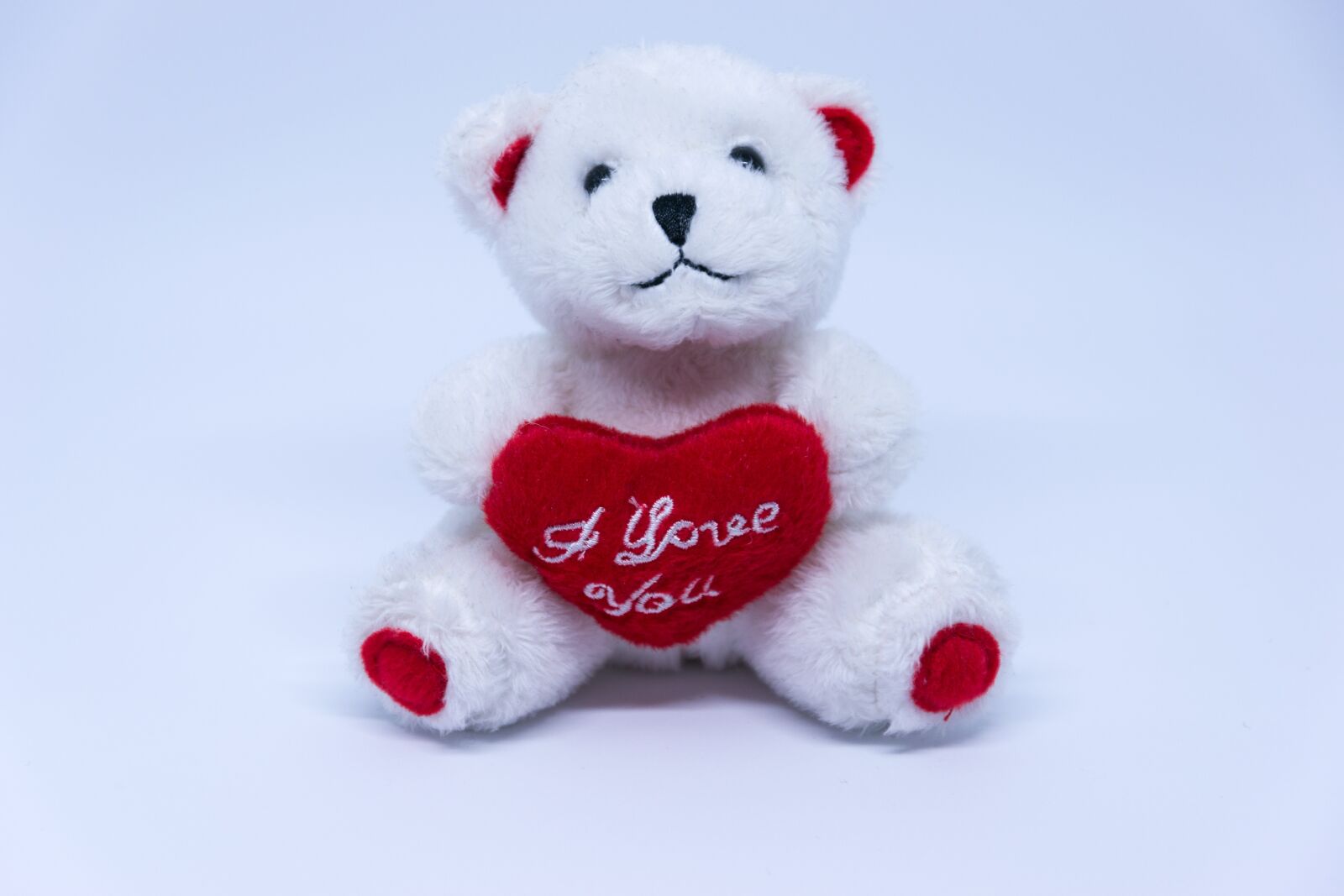 Nikon D5300 sample photo. Bear, white, velentinstag photography