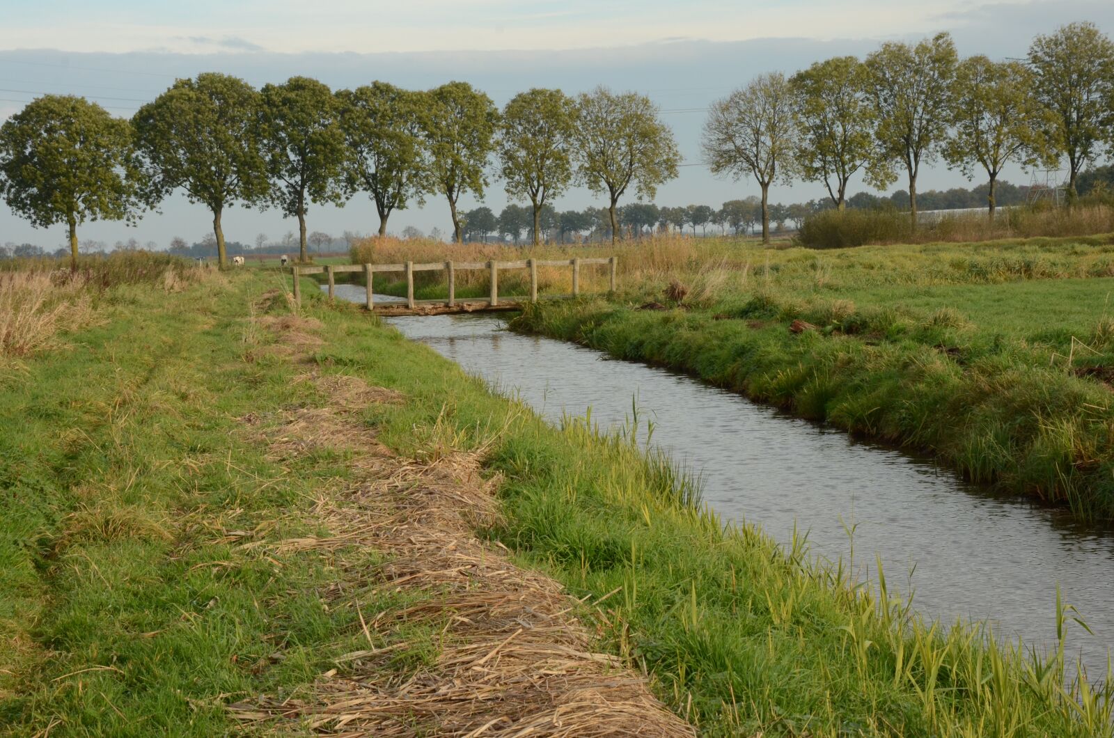 Nikon D7000 sample photo. Ditch, nature reserve, the photography