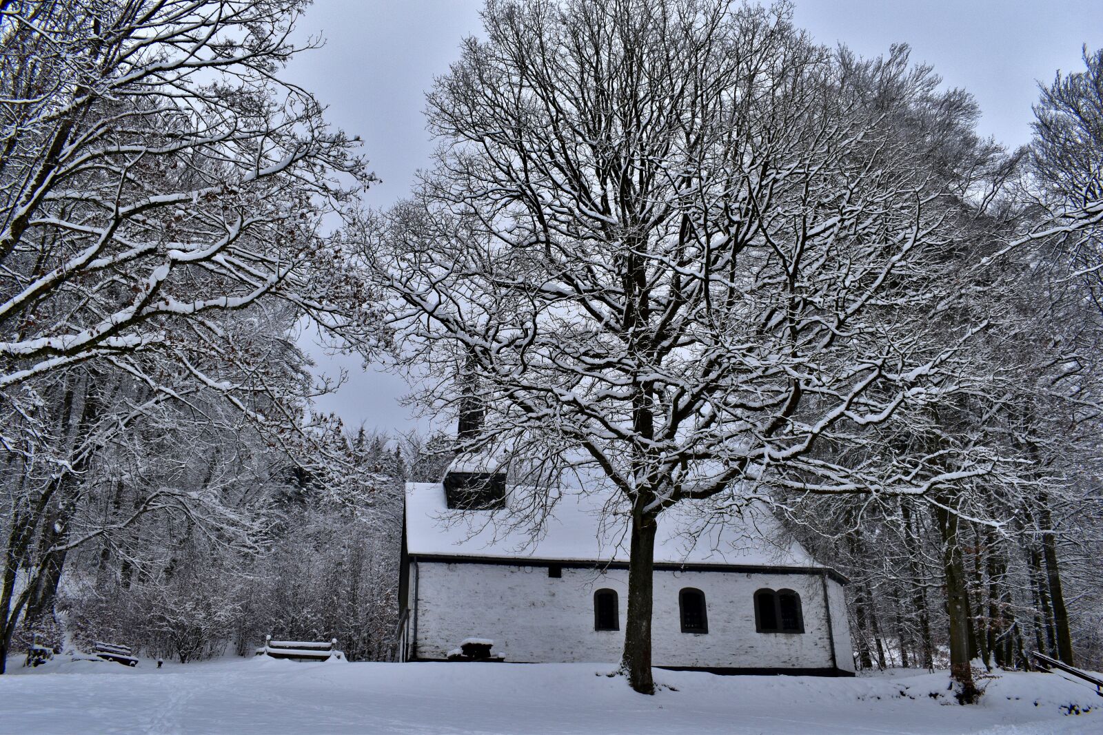 Nikon D5600 sample photo. Chapel, helzer-the, hachiville photography