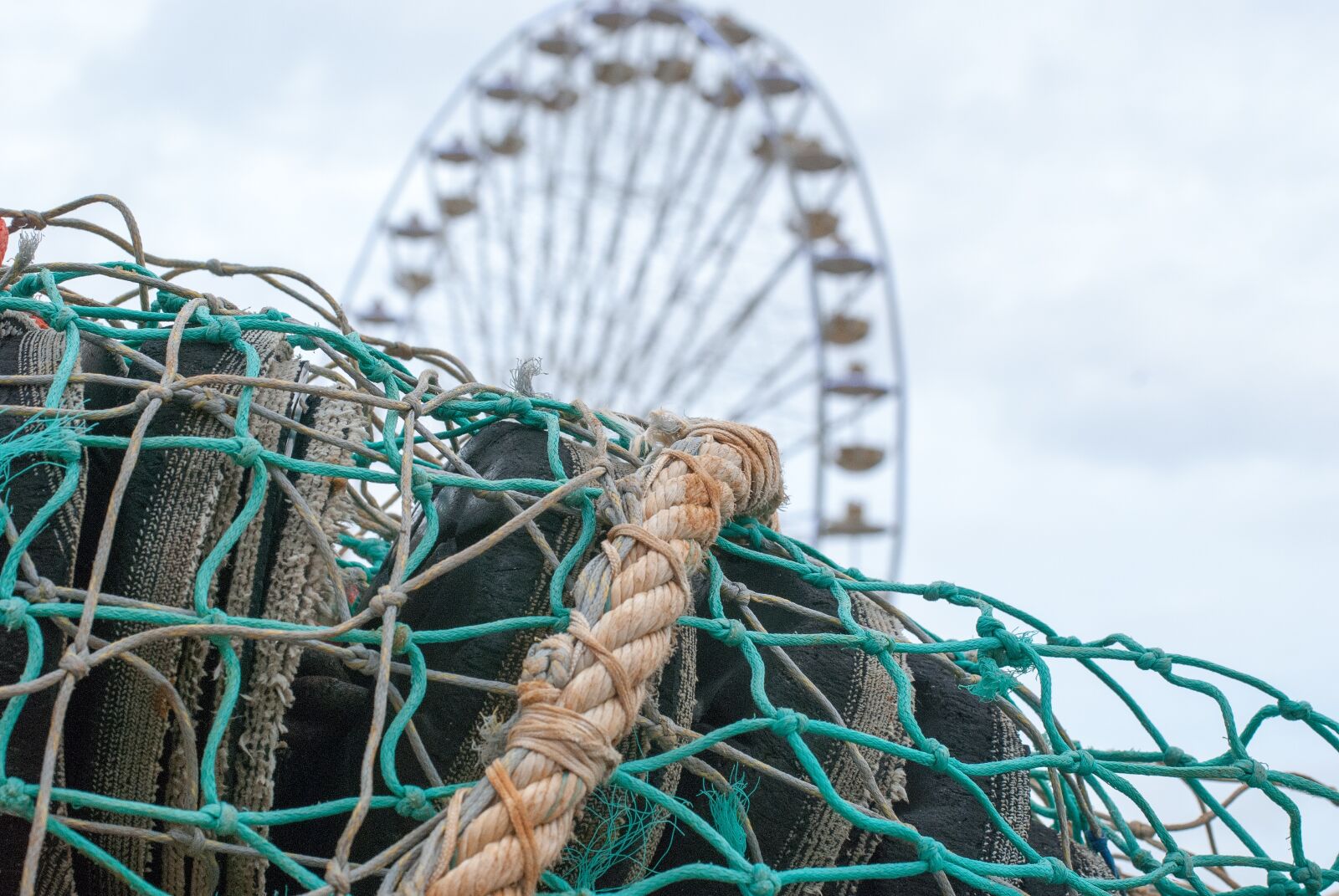 Nikon D80 sample photo. Great, wheel, net photography