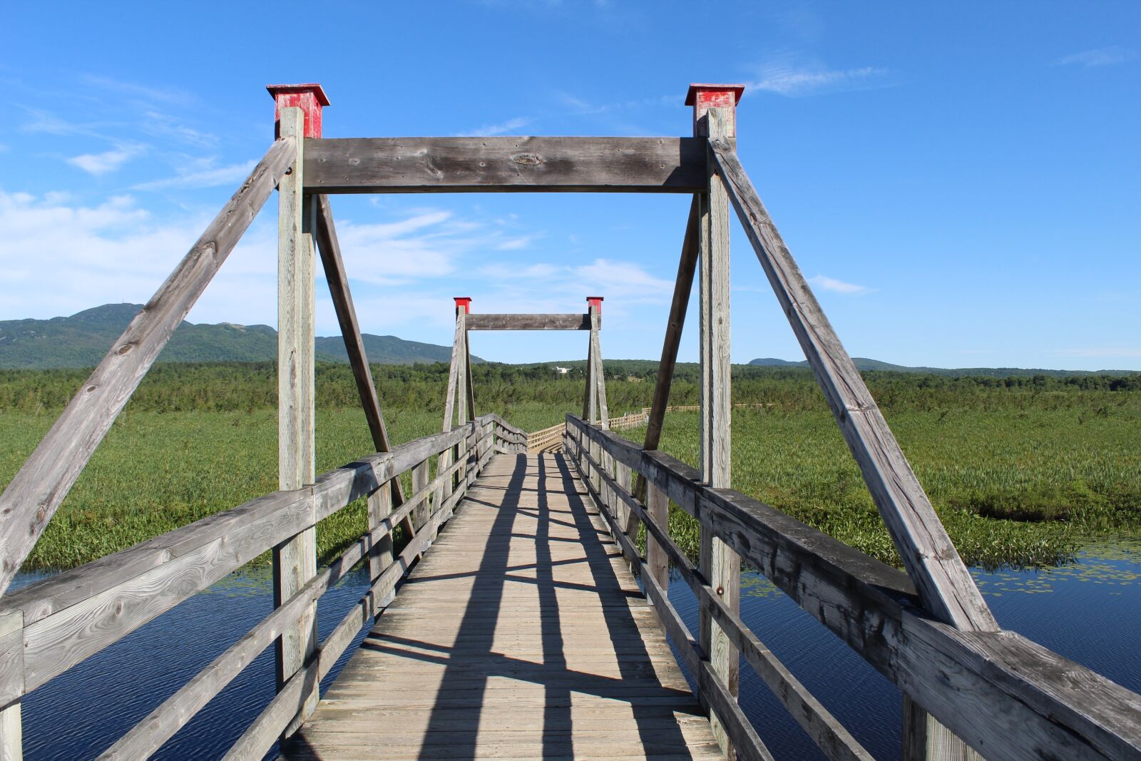 Canon EOS 1300D (EOS Rebel T6 / EOS Kiss X80) sample photo. Bridge, wood, old bridge photography