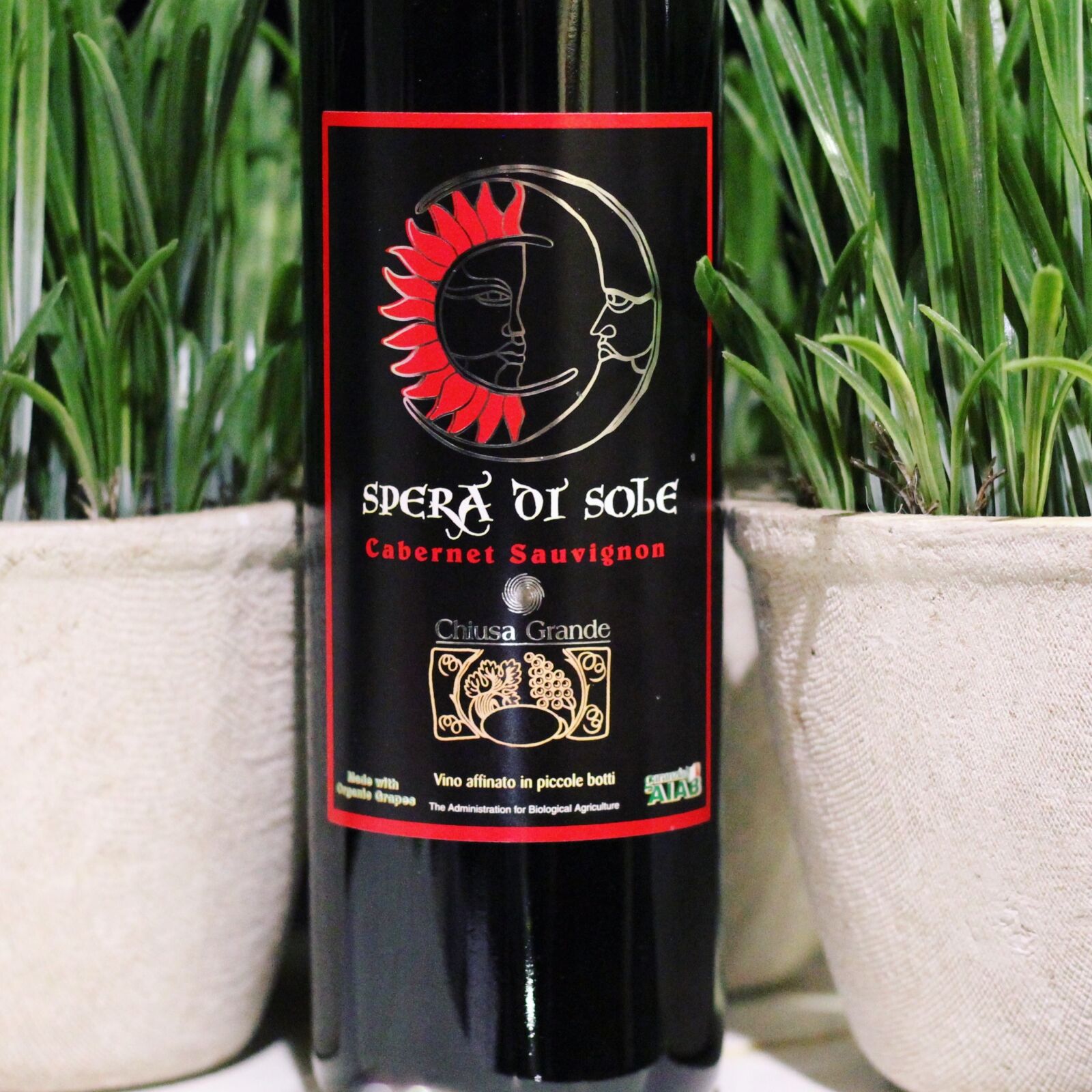 Canon EOS 1100D (EOS Rebel T3 / EOS Kiss X50) sample photo. Wine, bottle, winery photography