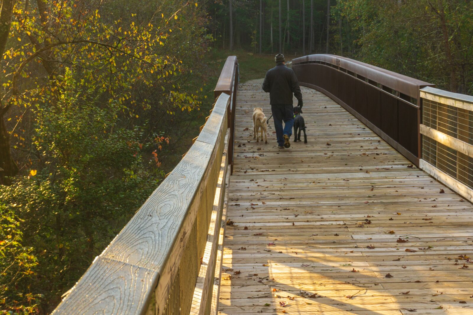 Sony a6000 sample photo. A pedestrian bridge, walking photography