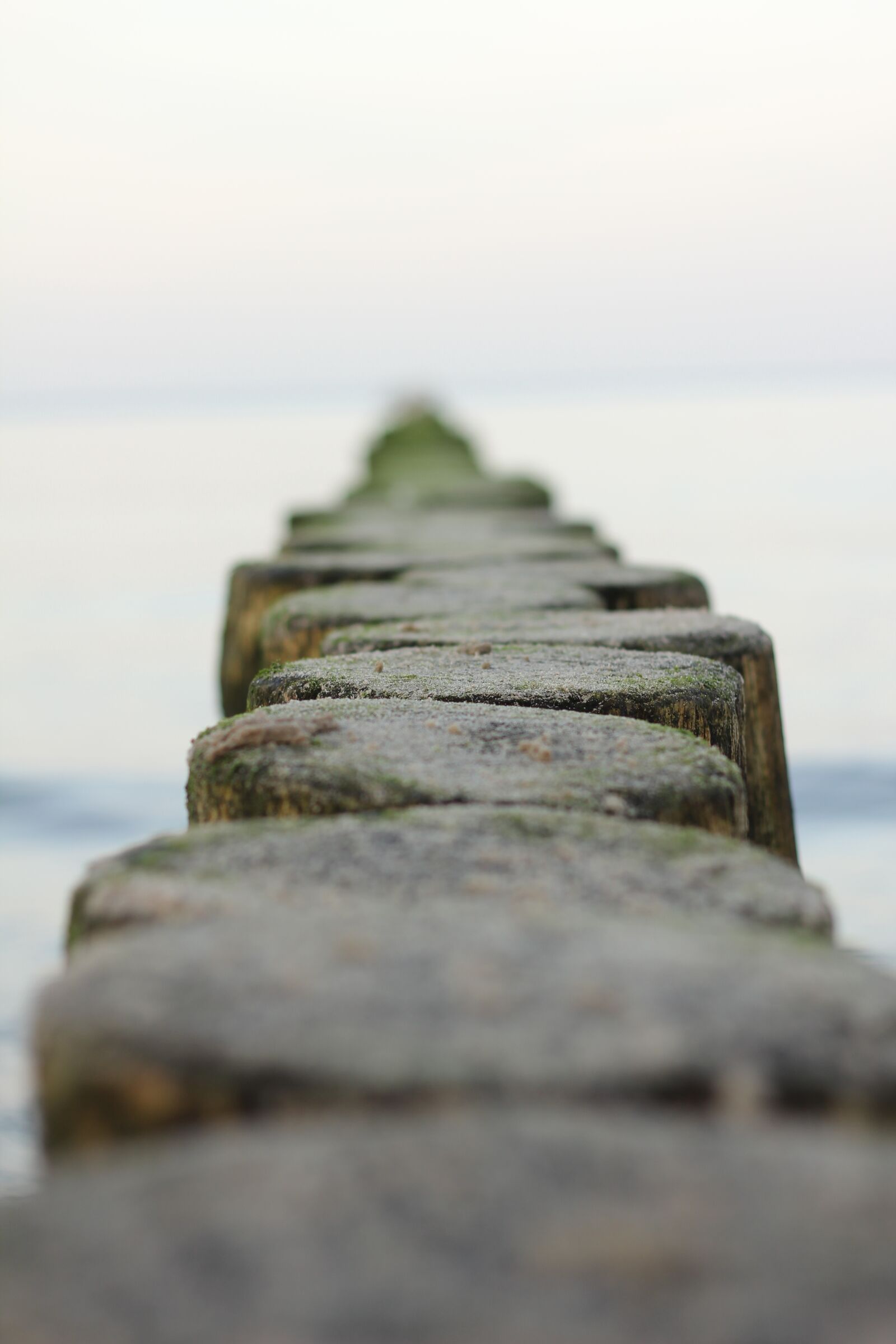 Canon EOS 60D + Canon EF 50mm F1.8 II sample photo. Baltic sea, lake, sea photography