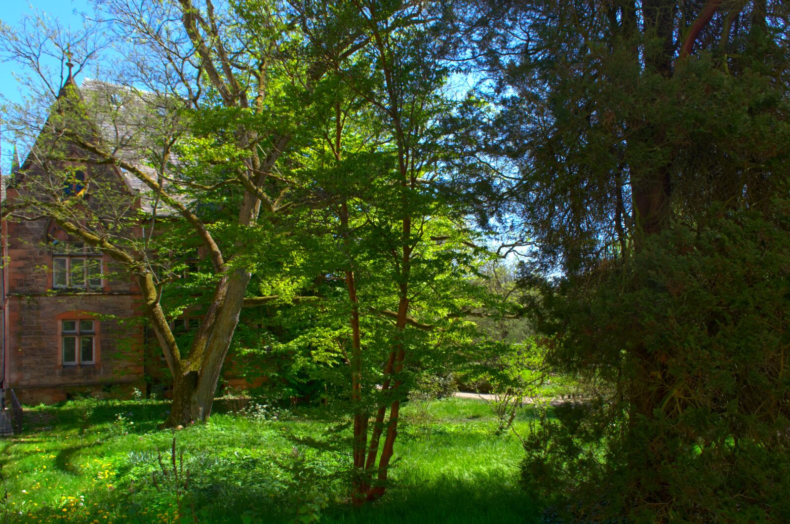 Nikon D5100 sample photo. House, old, building photography