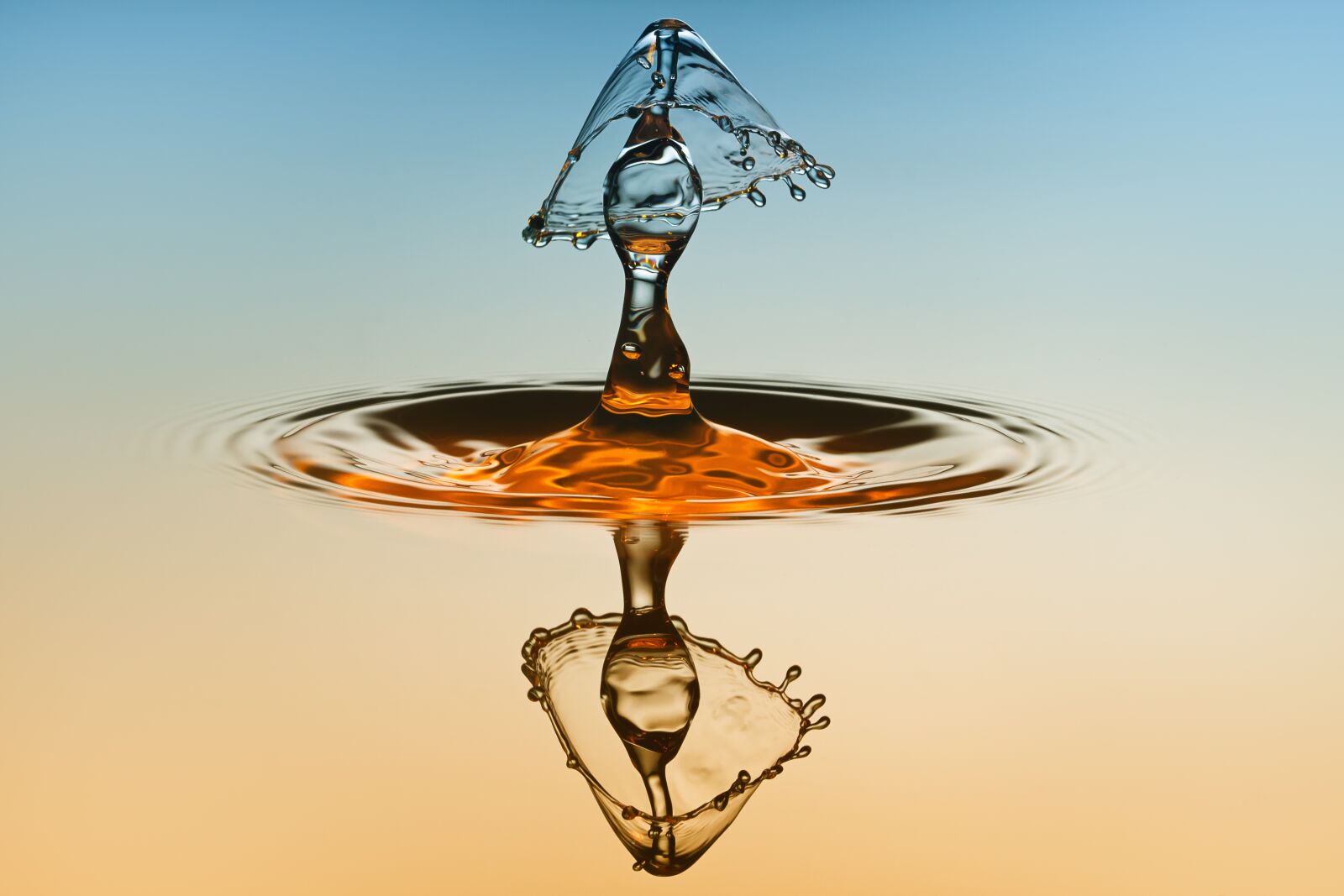 Canon EOS 7D + Canon EF 100mm F2.8 Macro USM sample photo. Water, drip, mirroring photography