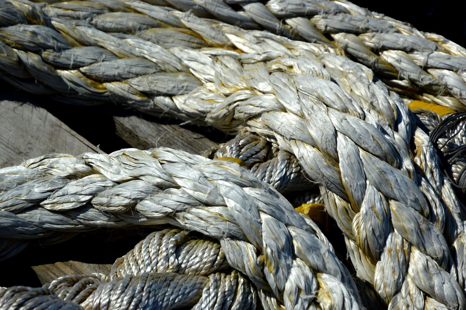 Nikon D3200 sample photo. Rope, dew, cordage photography