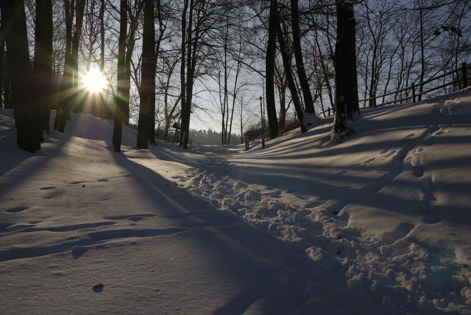 Nikon D80 sample photo. Snow, the sun, winter photography