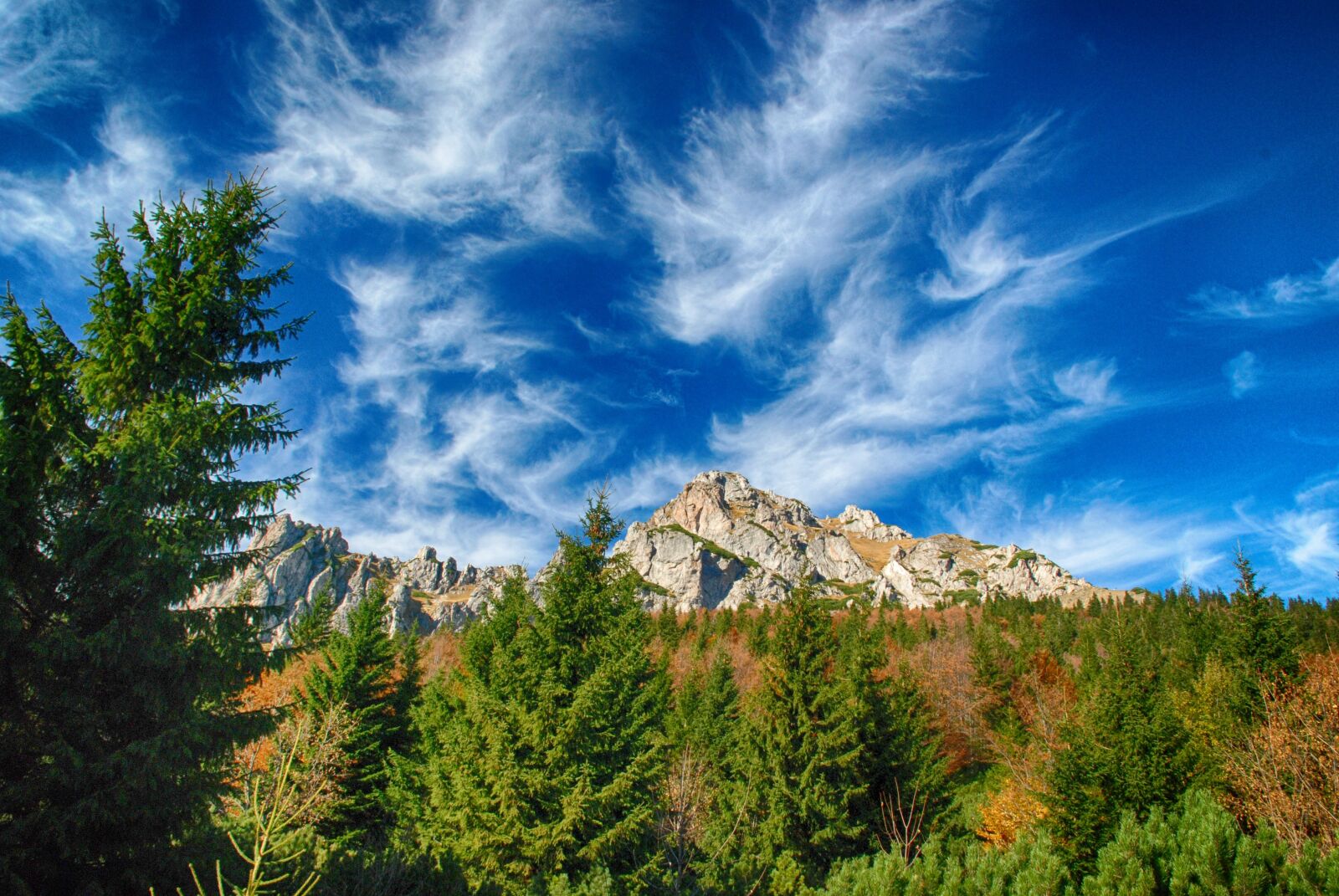 Nikon D80 sample photo. Autumn, nature, forest photography