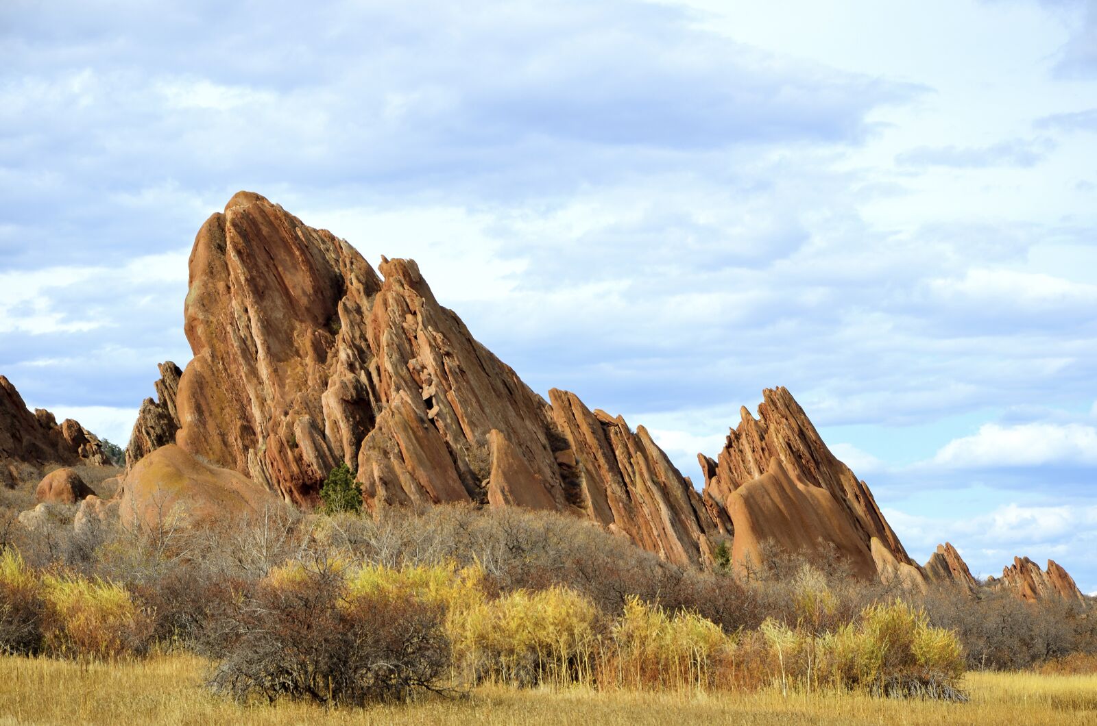 Nikon D7000 sample photo. Denver, fall color, mountain photography