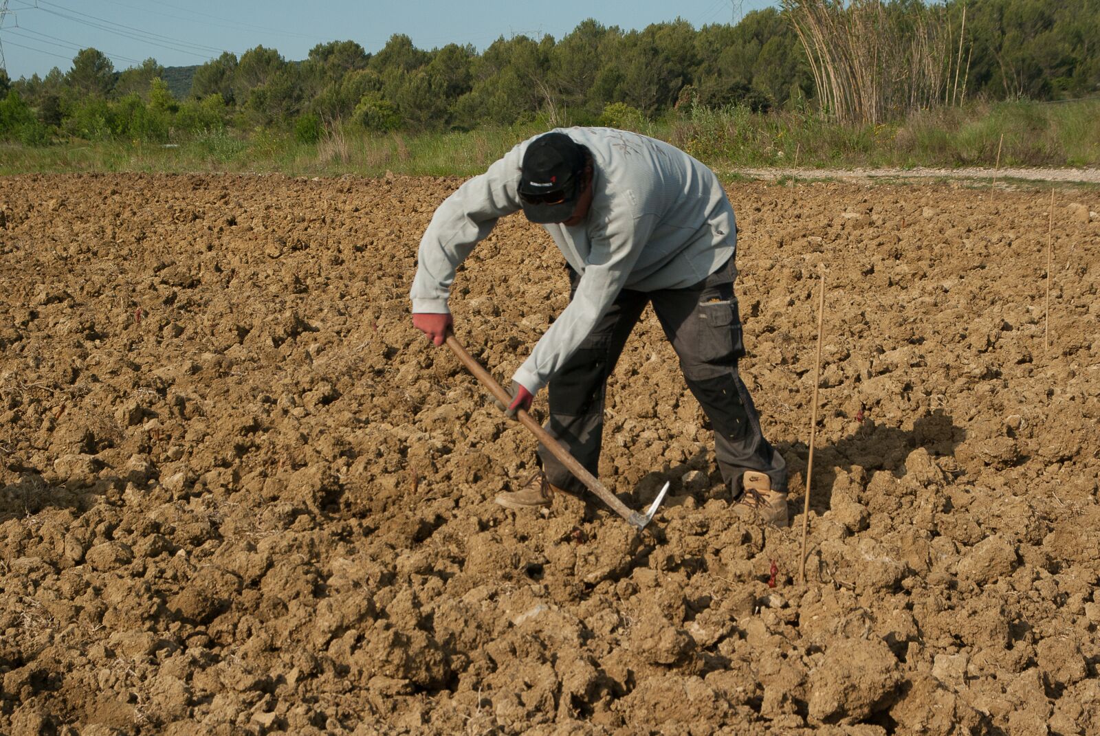 Pentax K10D sample photo. Farmer, plantation, manual work photography