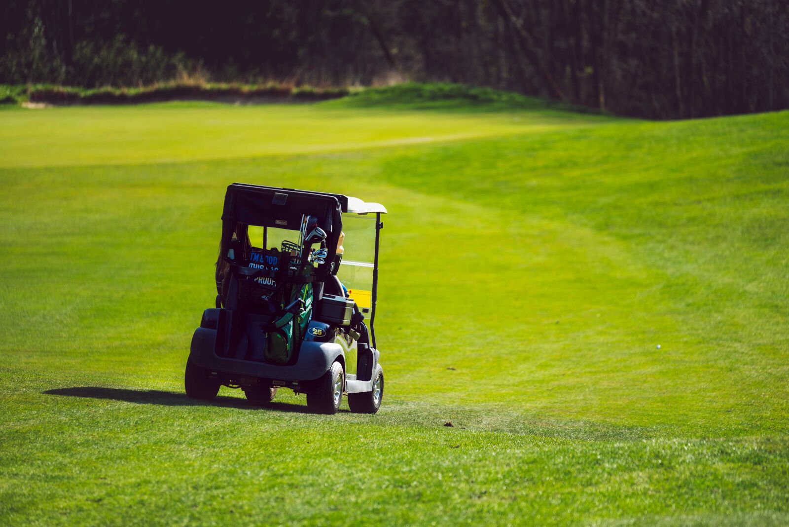 Nikon D750 sample photo. Golf cart, grass, outdoor photography