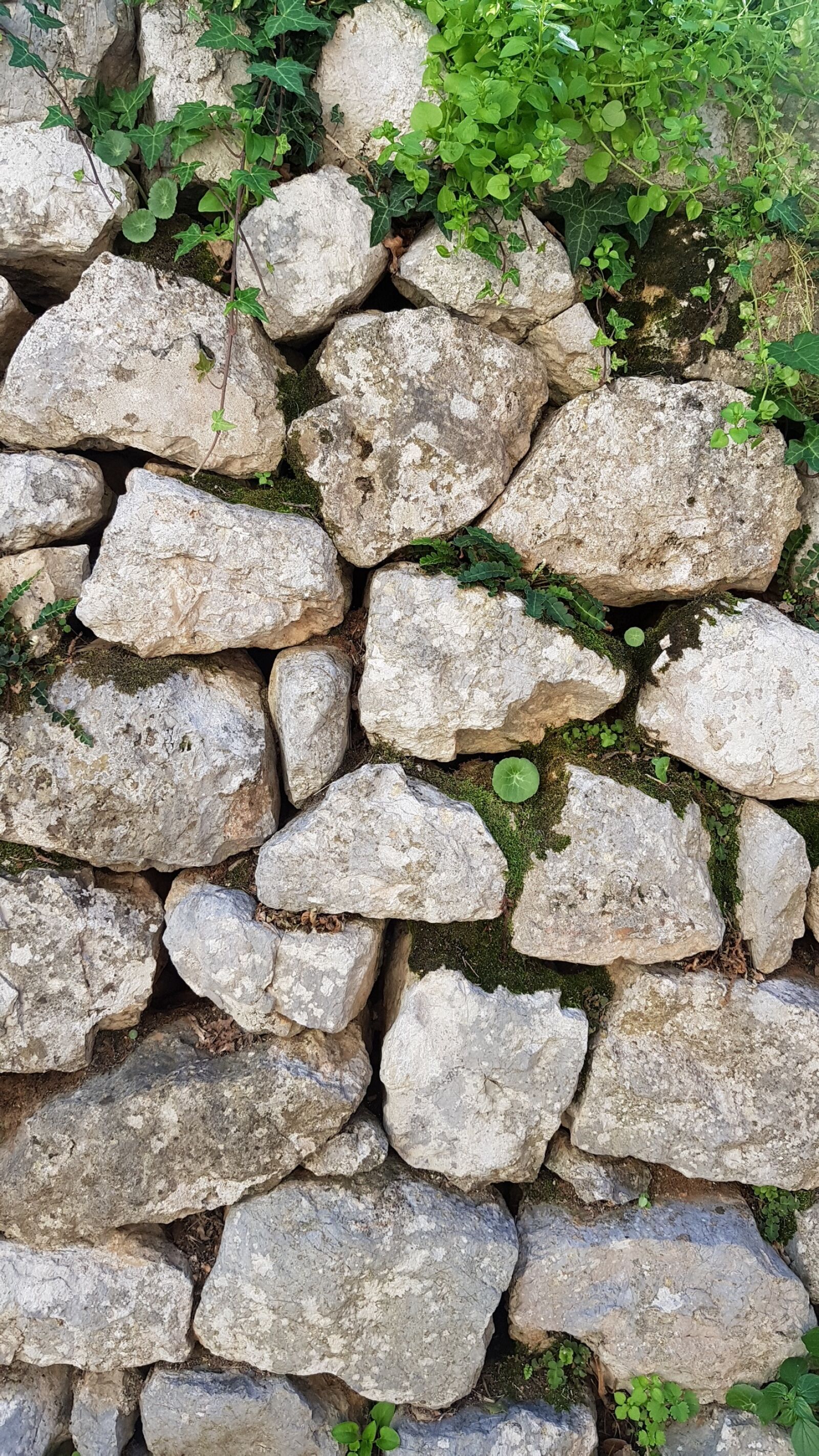 Samsung Galaxy S8+ sample photo. Stone, rock, rough photography